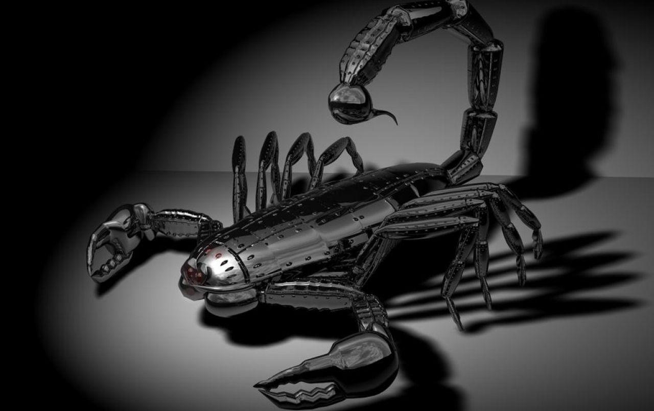 Chrome Scorpion wallpaper. Chrome Scorpion