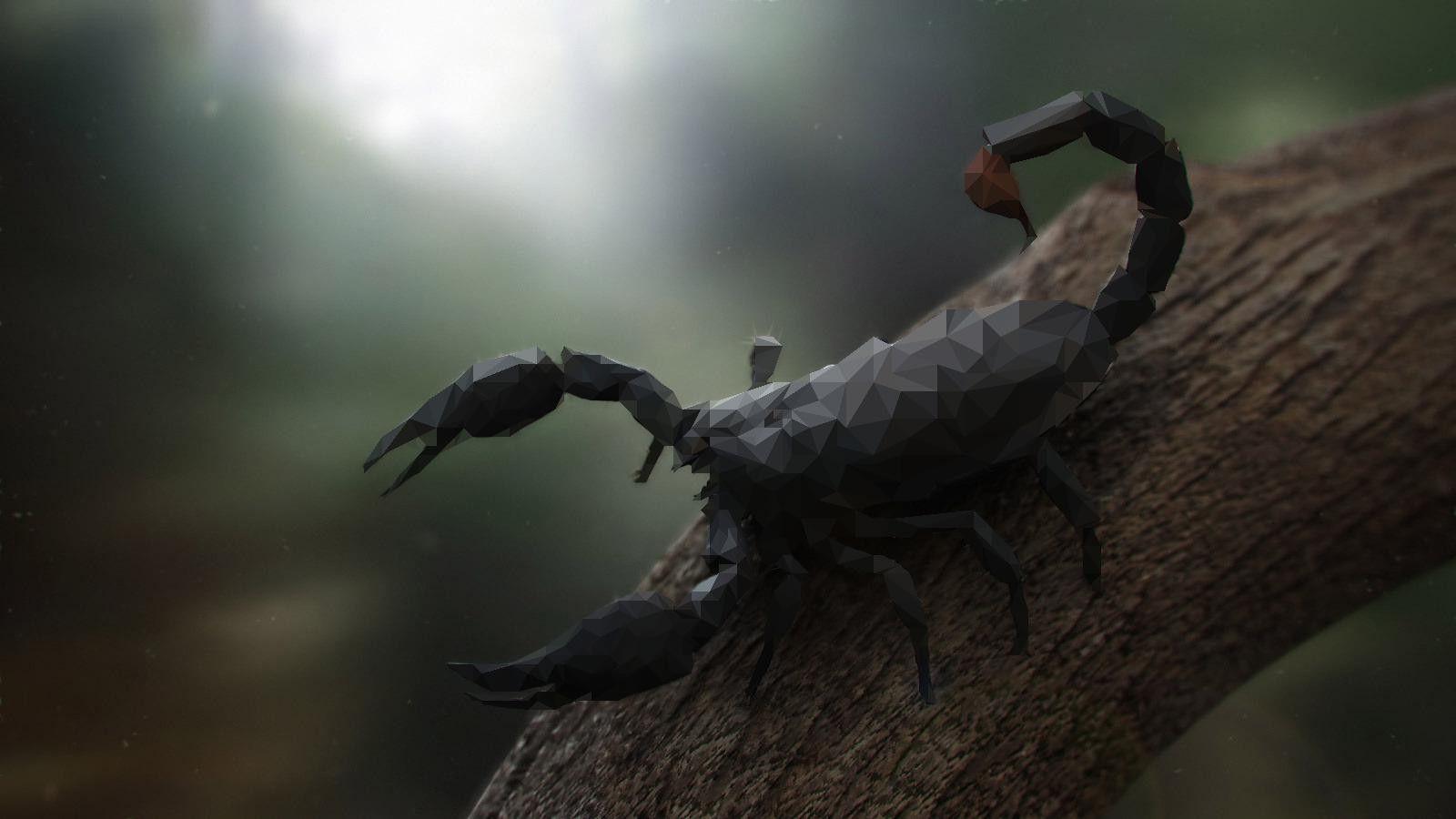 nature, Animals, Trees, Digital Art, Scorpions, Low Poly, Branch