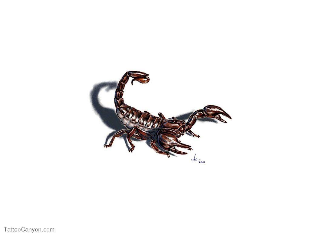 3D Scorpion Tattoo Art Design Free Image For Wallpaper