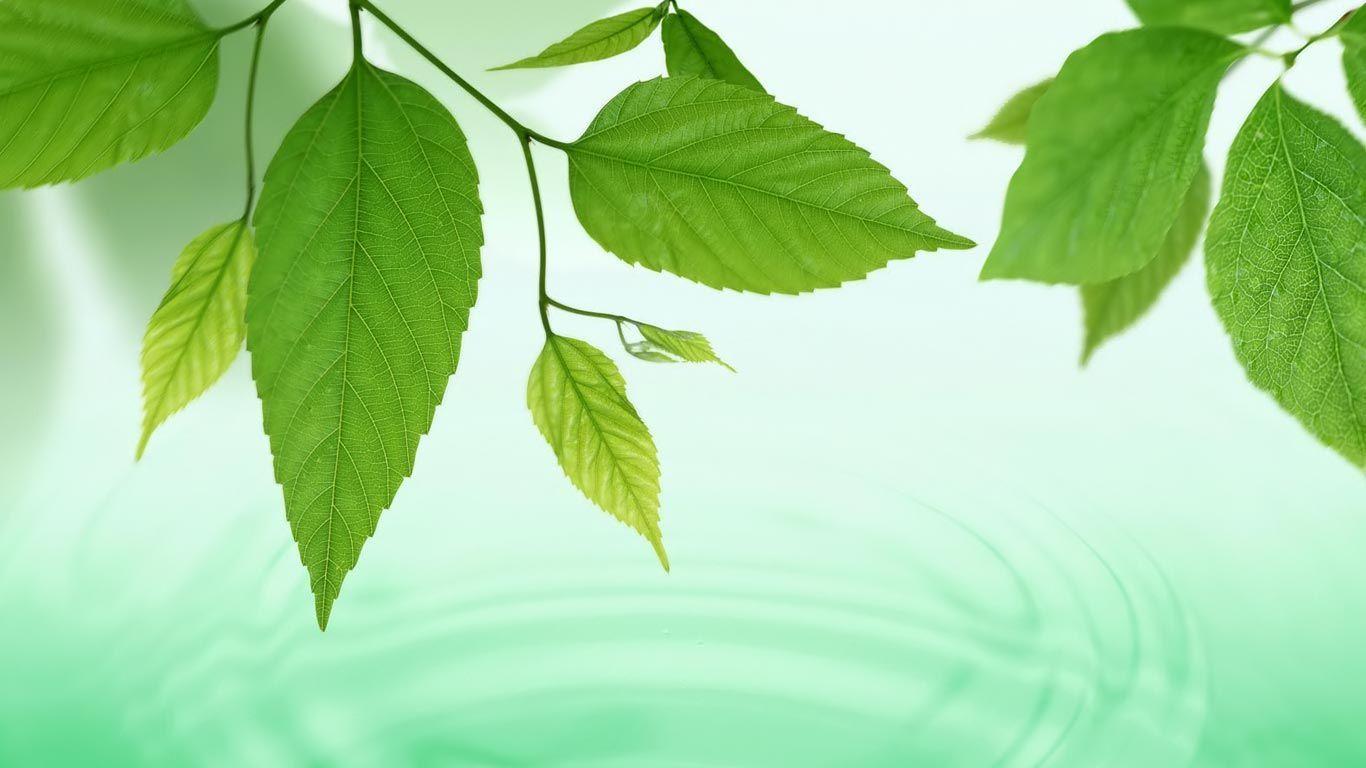 Laptop Desktop Picture HD