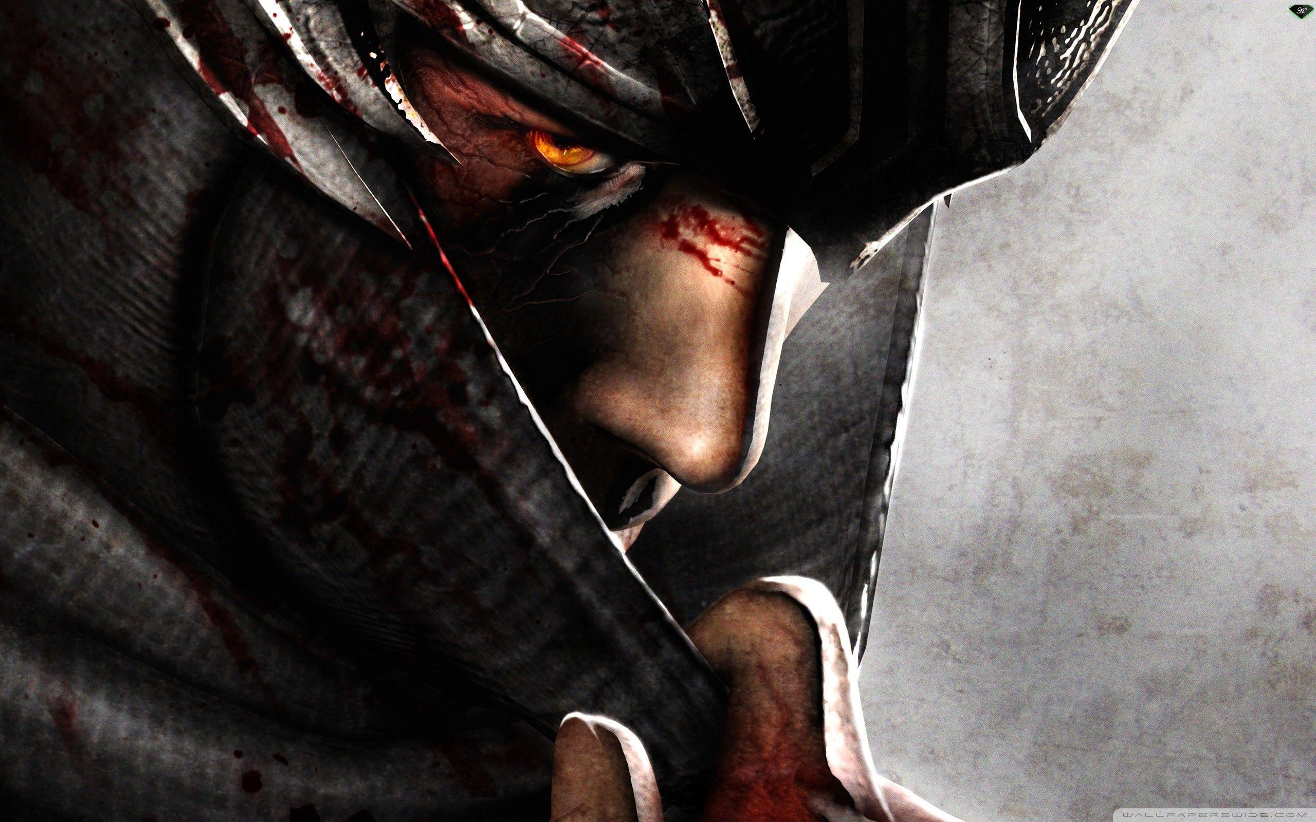 video, Ninja Gaiden, Ryu Hayabusa, 2012, game wallpaper