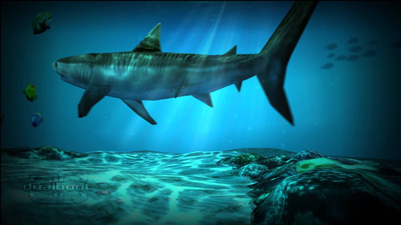 Shark Pack' For Ocean HD Live Wallpaper