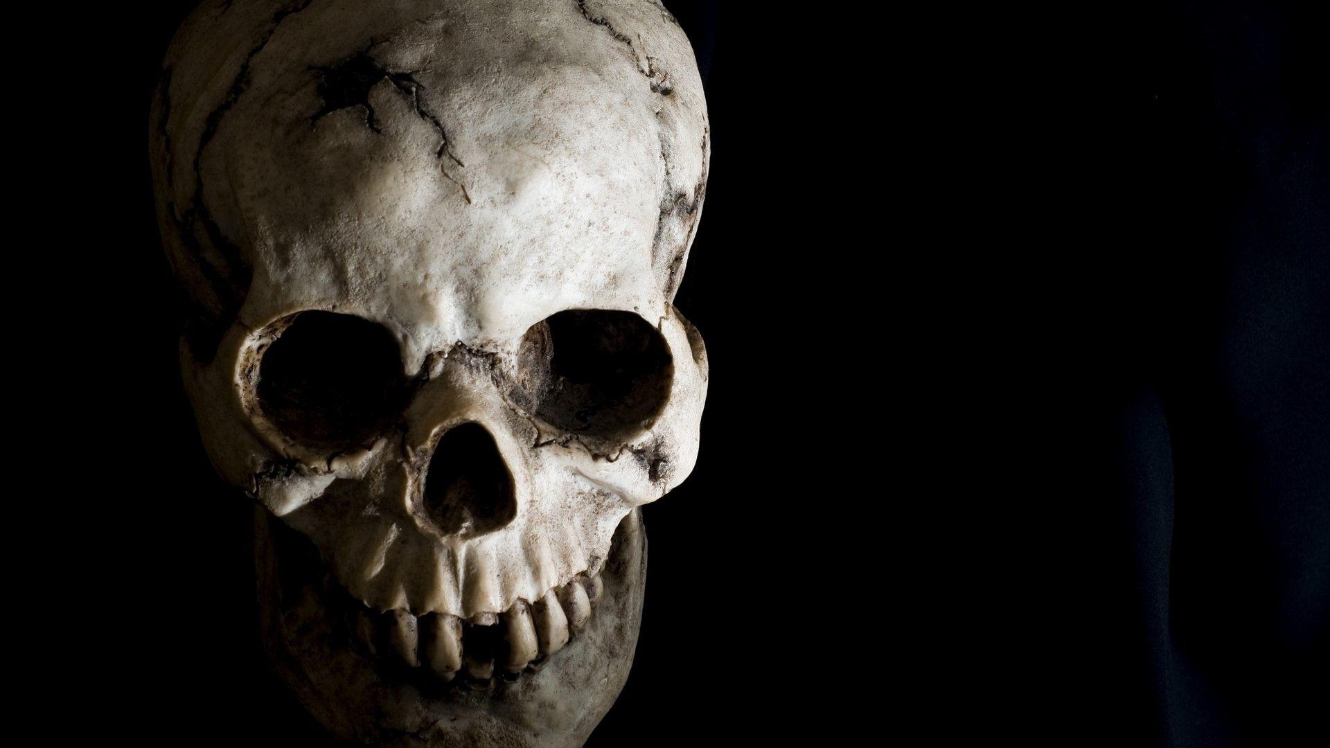 Skull Horror HD Desktop Background Wallpaper