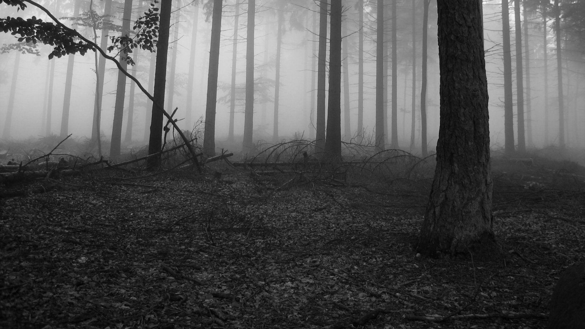 Slender Man wallpaper (47 photo)