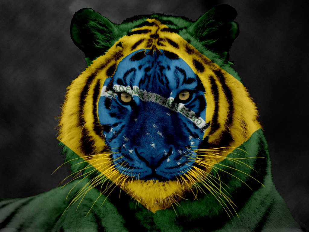 Brazilian Tiger Wallpaper 62999 1024x768px