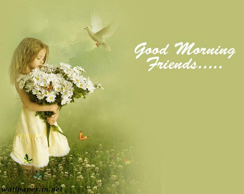 good morning friends wallpaper hd