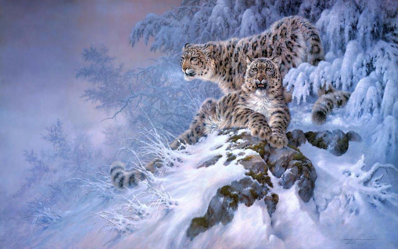 Snow Leopard wallpaper HD for desktop background