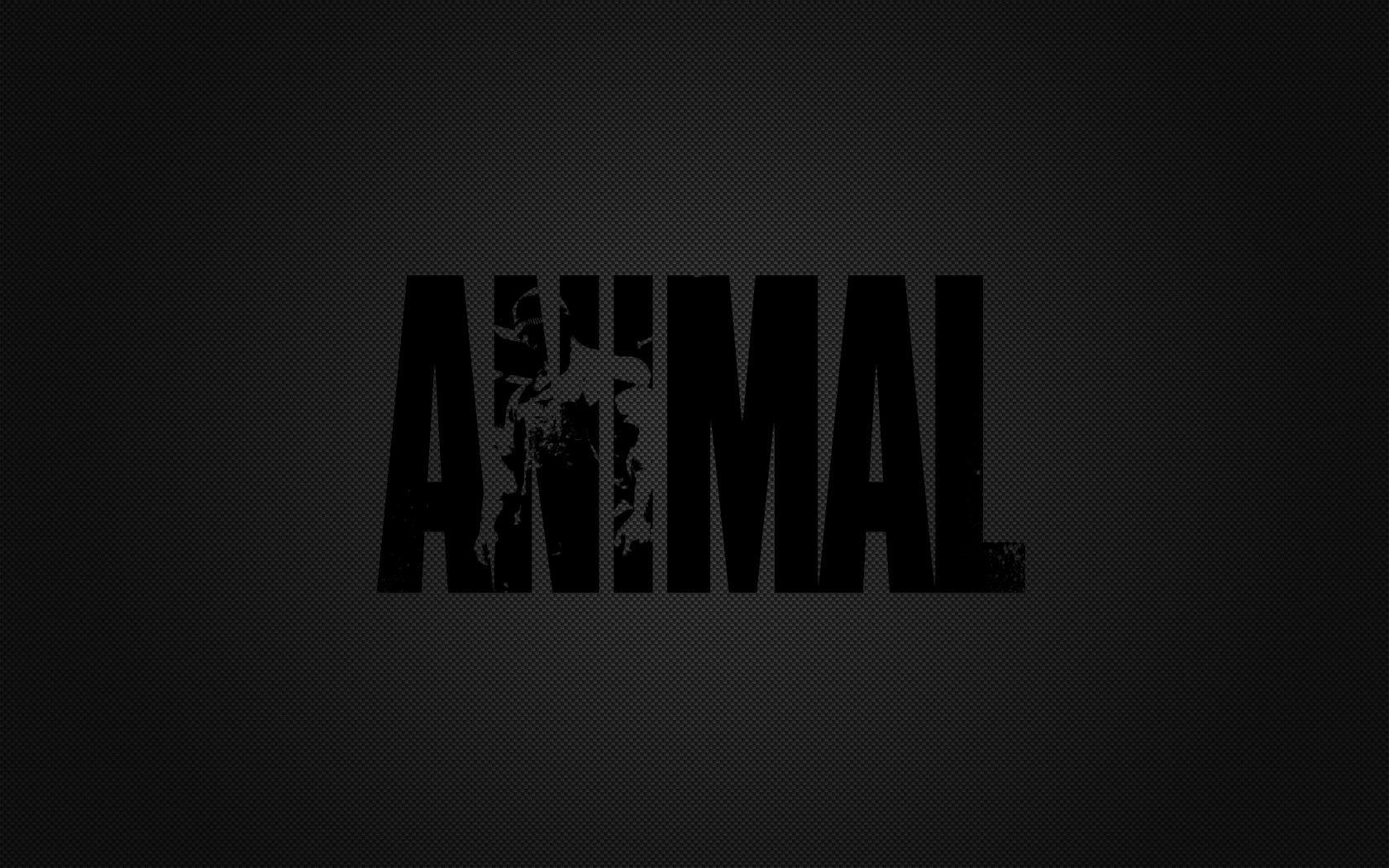 Animal Pak Wallpaper
