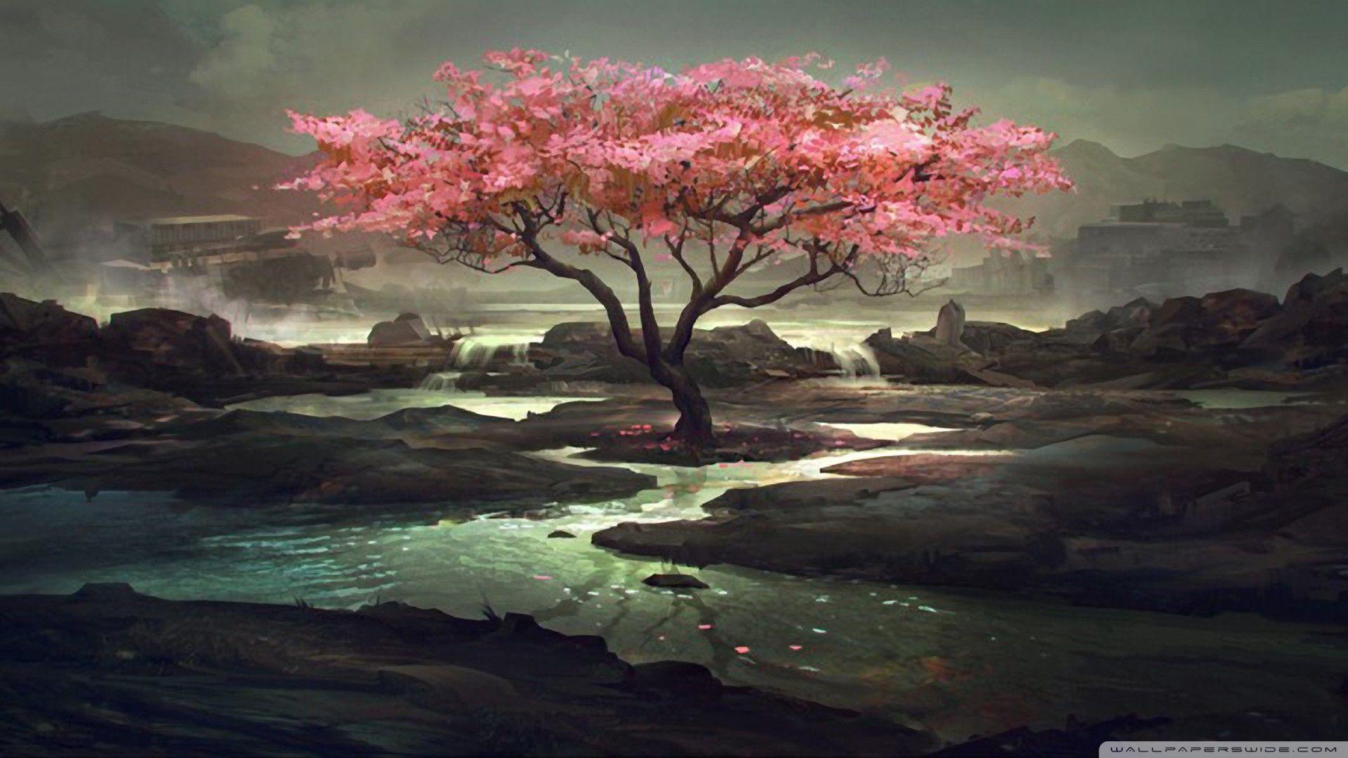 Cherry Blossom Drawing Wallpaper.com