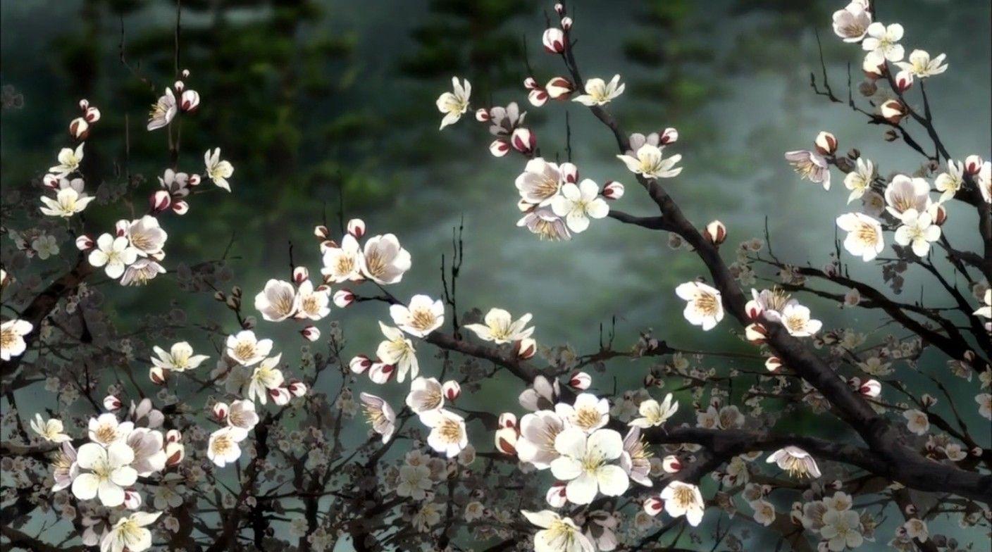 Flowers Flower Floral Blossom Painting Sakura Cherry Branches