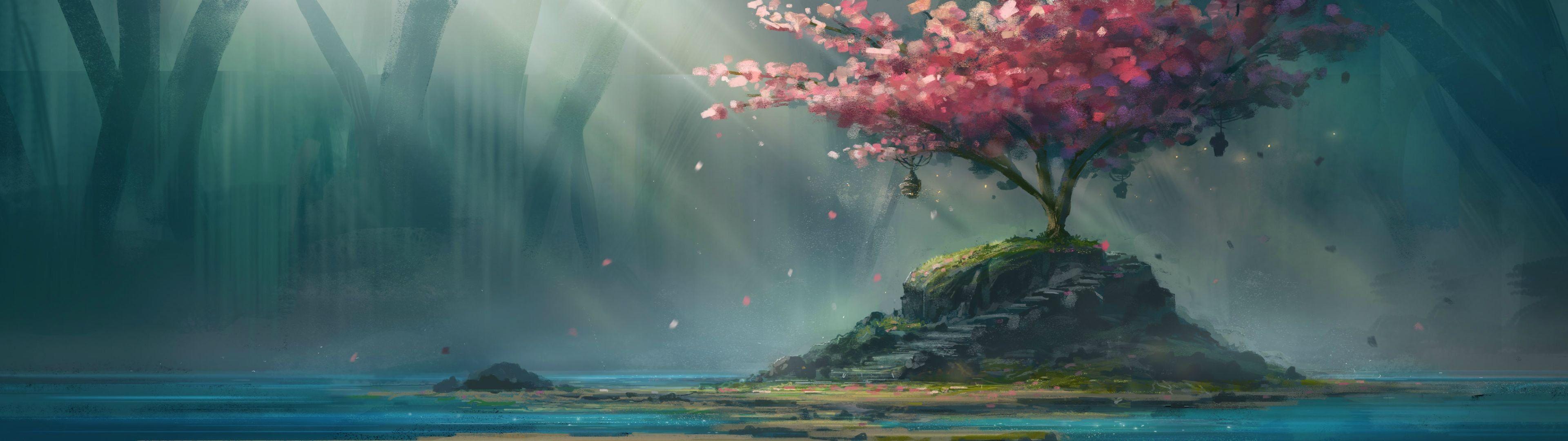 Cherry Blossom Painting Wallpapers Wallpaper Cave