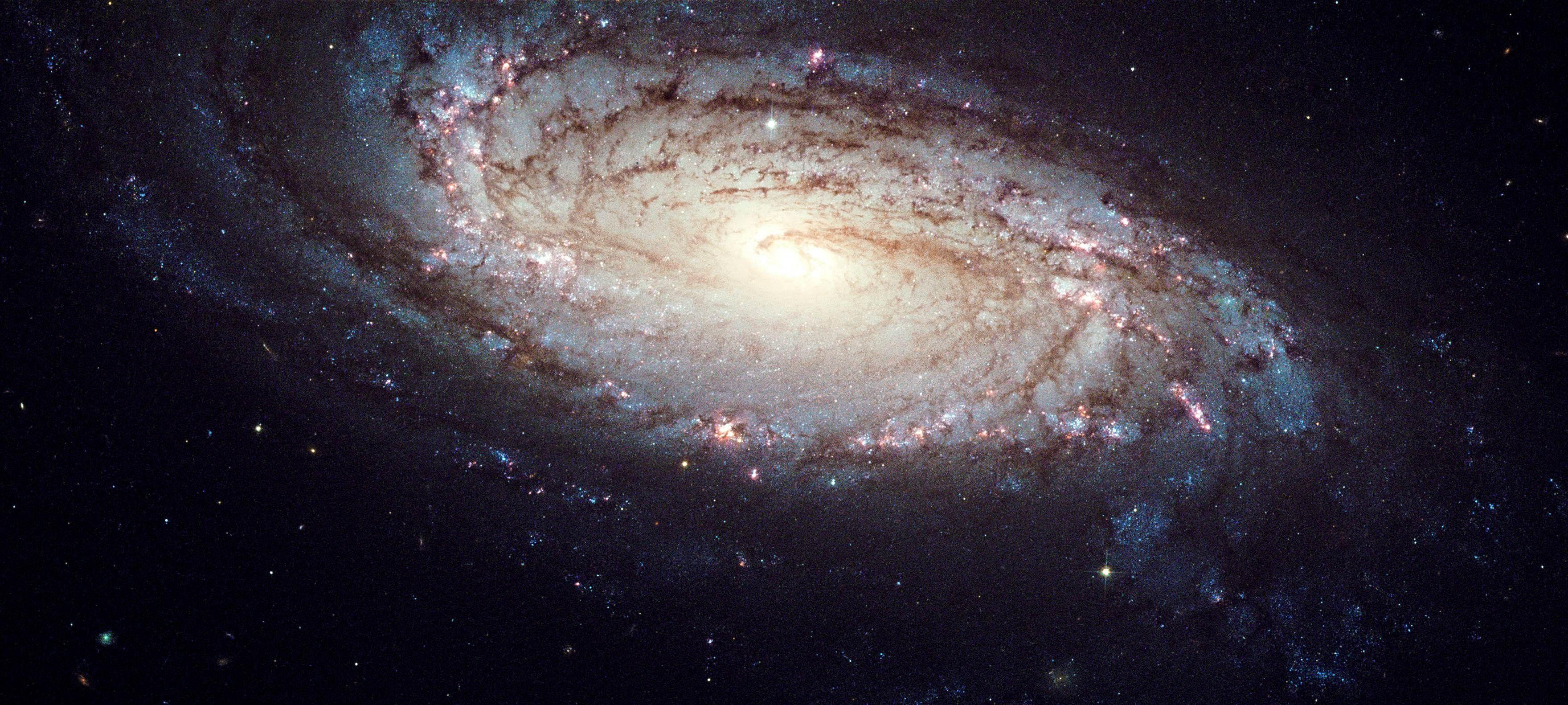 Milky Way Galaxy Wallpaper 519×582 Pixels