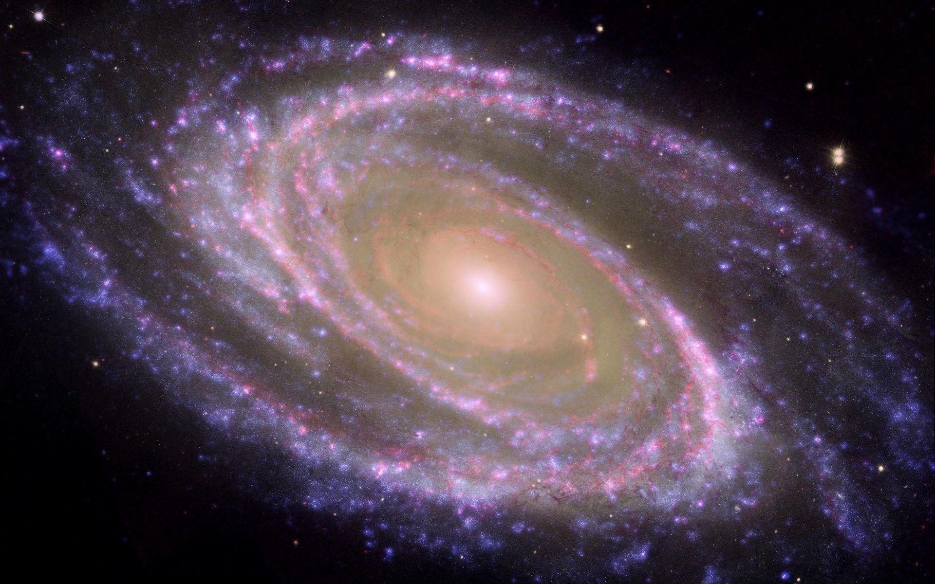 Space Image. M81 Galaxy is Pretty in Pink
