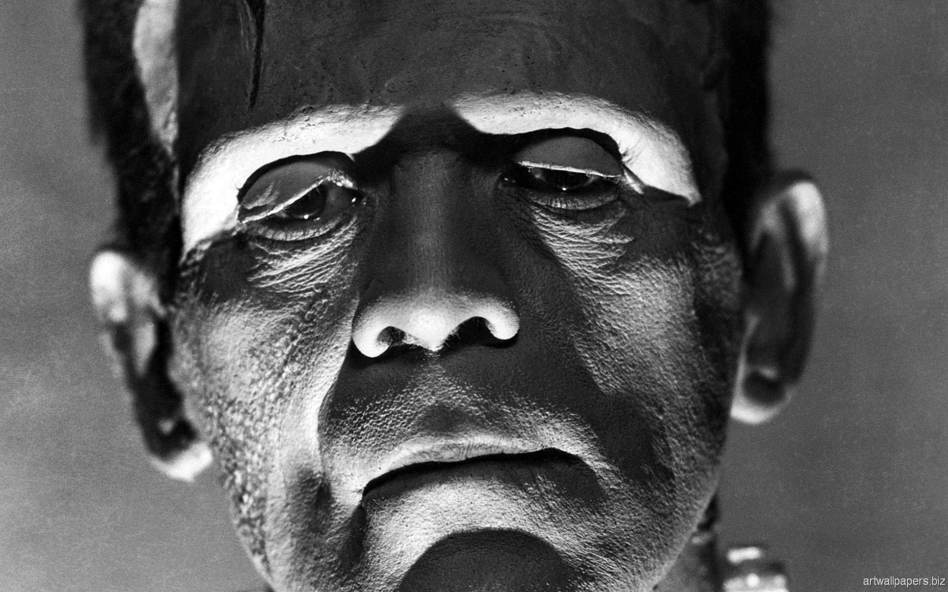 The Bride Of Frankenstein wallpaper 1920x1200 desktop background