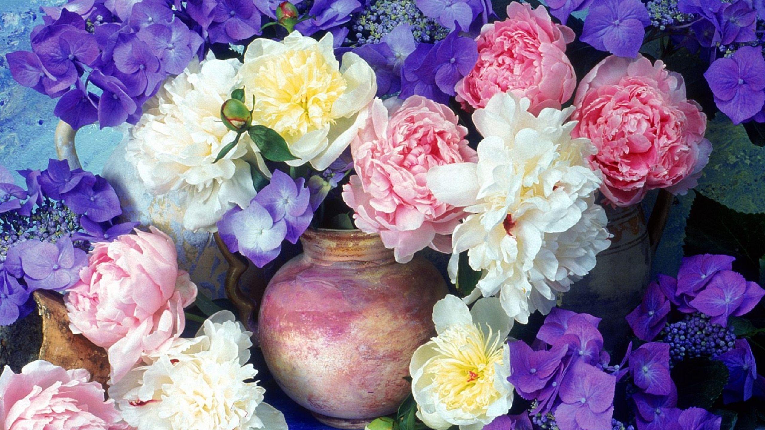 Peonies Painting HD Wallpaper, Background Image