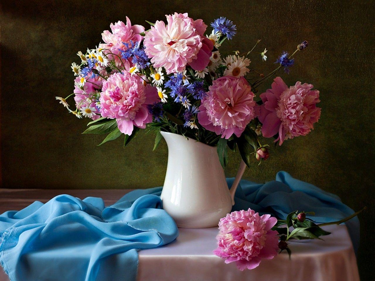 Flowers: Peony Peonies Daisy Beautiful Table Beauty Still Pretty