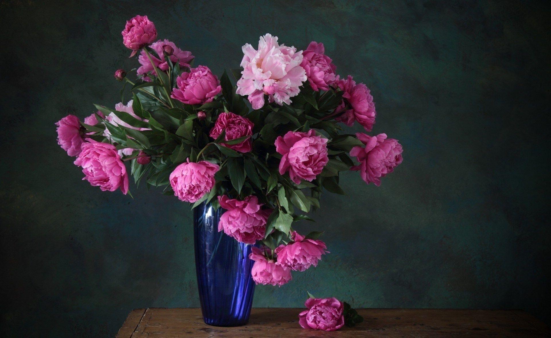 A bouquet of blue Flowers vase of pink peonies. Android wallpaper