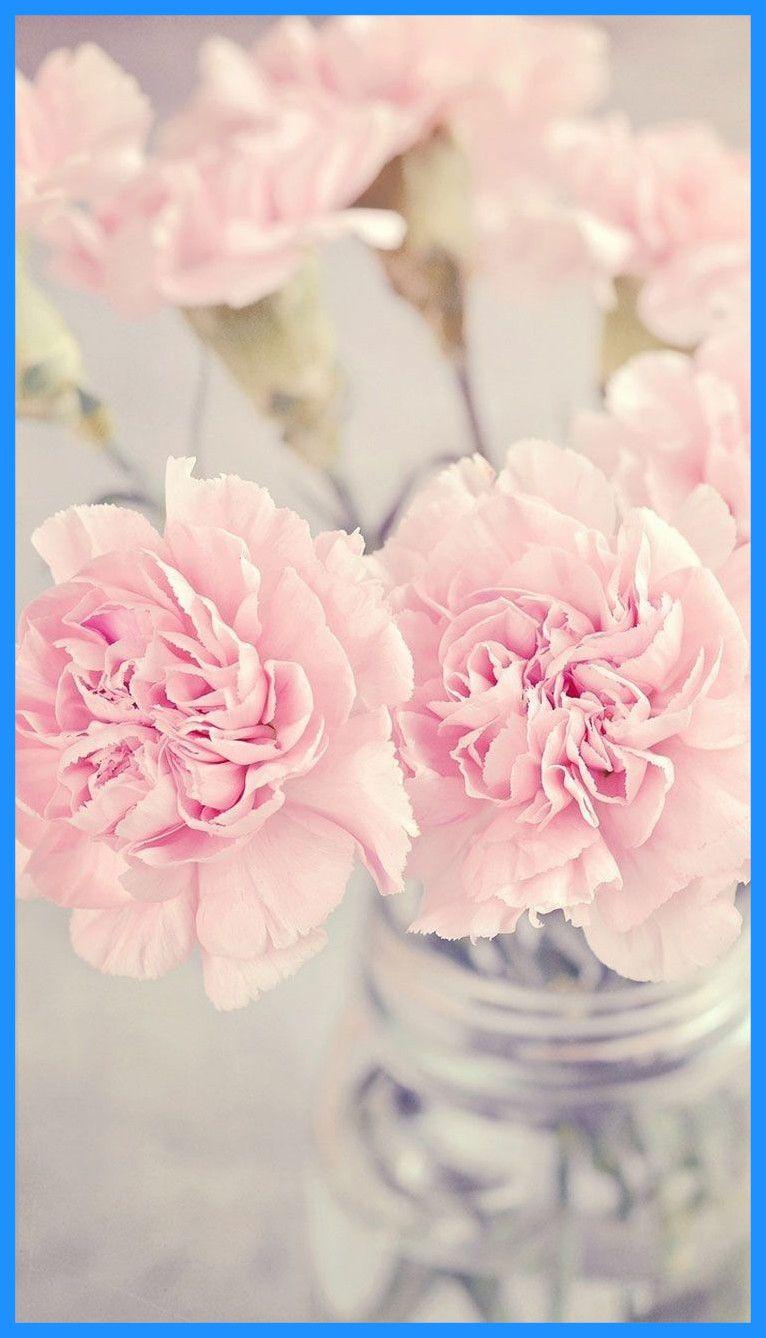 Awesome Best Blooms Blue Hydrangeas For Peony Wallpaper Style