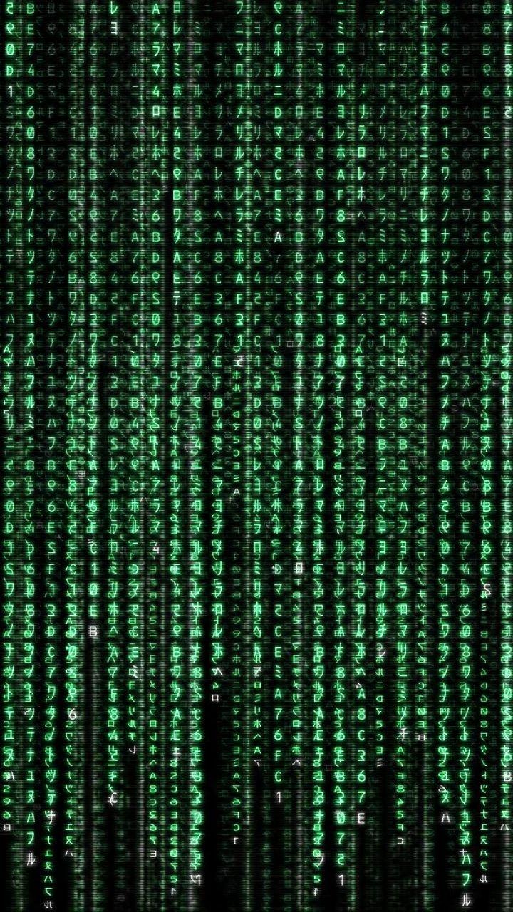 Movie The Matrix (720x1280) Wallpaper