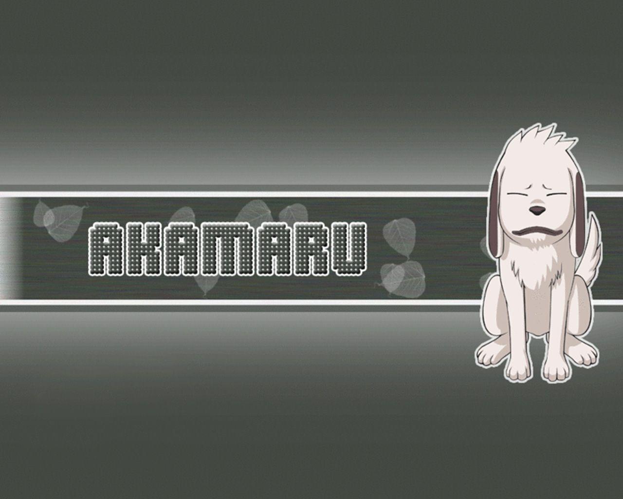 Akamaru Wallpapers - Wallpaper Cave