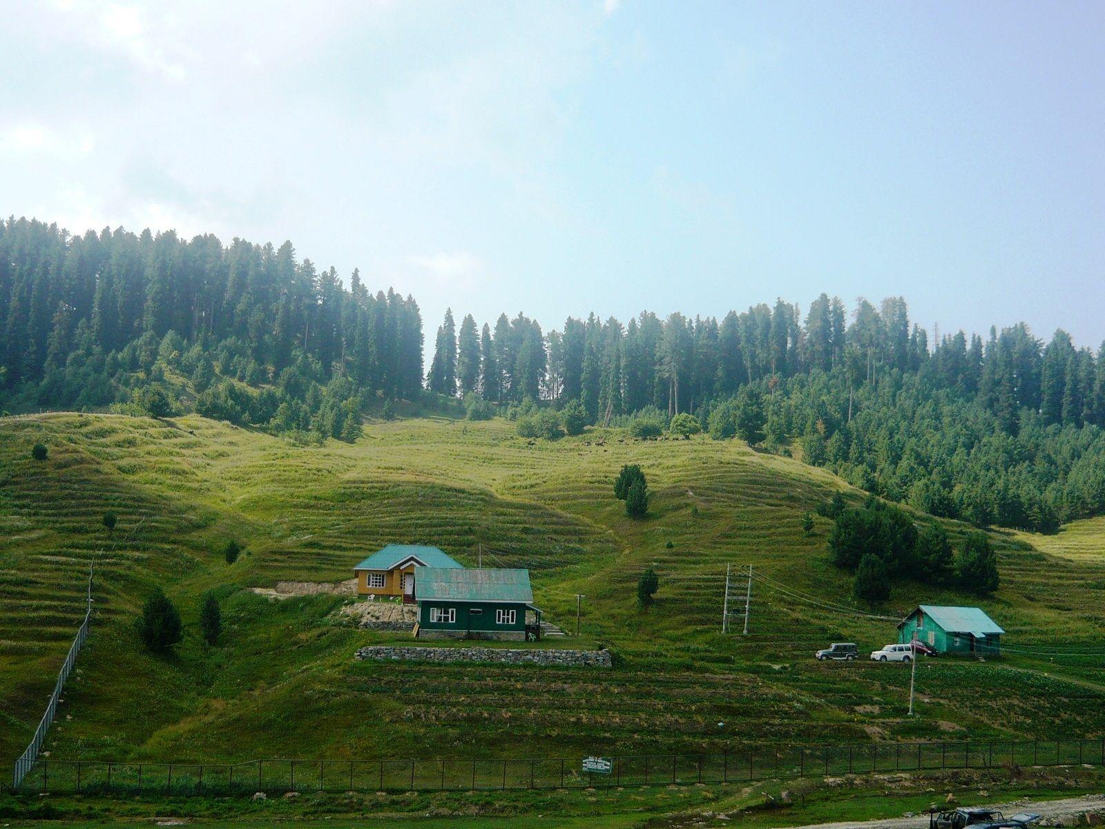 Beautiful Mountain Wallpaper in Gulmarg Kashmir. HD Kashmir Wallpaper