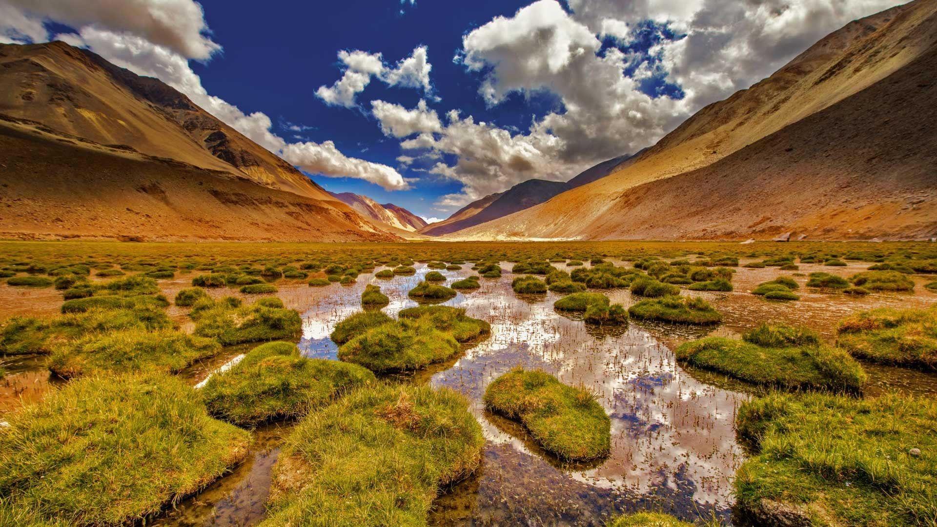 Wallpaper Ladakh, Jammu and Kashmir, mountains, swamp, grass, India