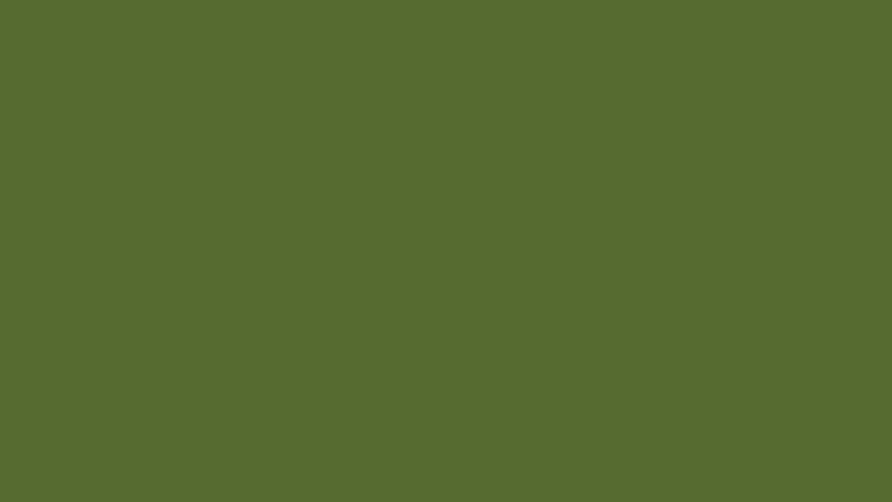 Dark Olive Green Solid Color Background. Photography