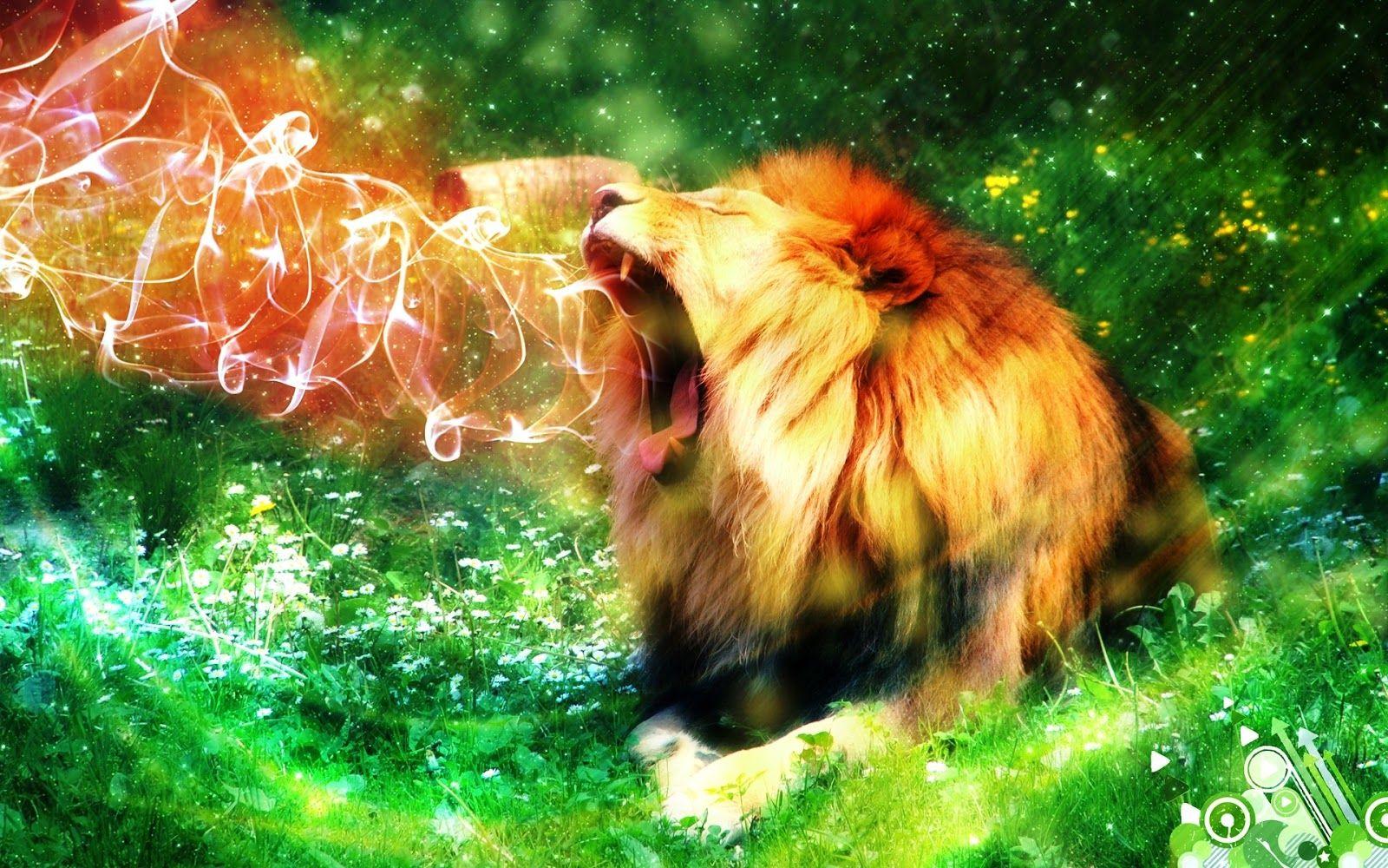 Wallpaper: Lion Roar HD Wallpaper