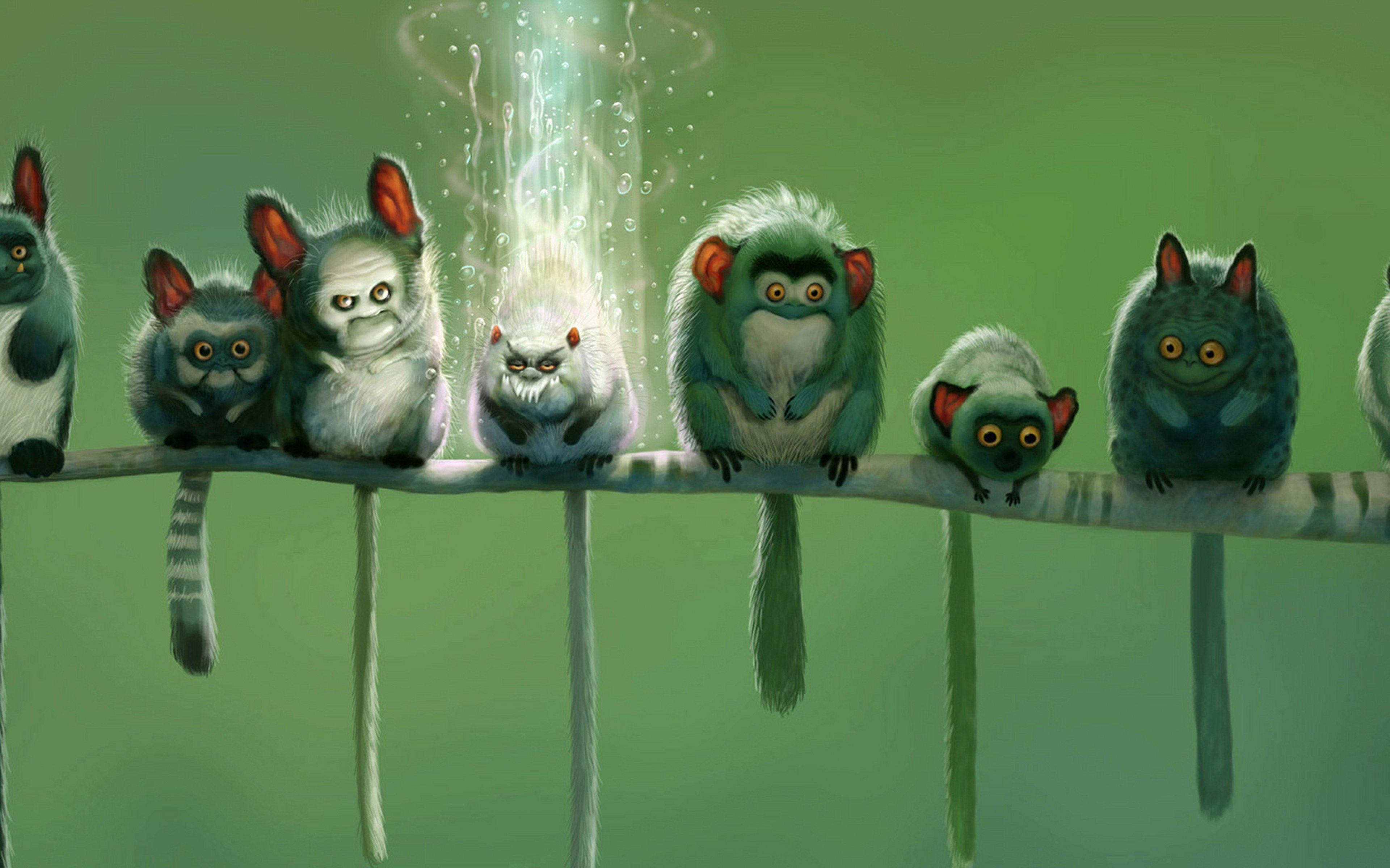 Funny Picture, Background, Wallpaper