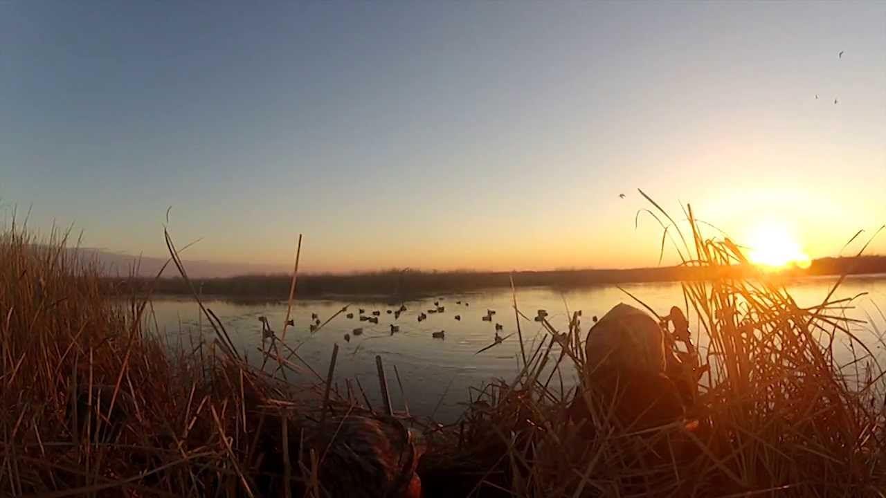 Duck Hunt South Dakota 2013