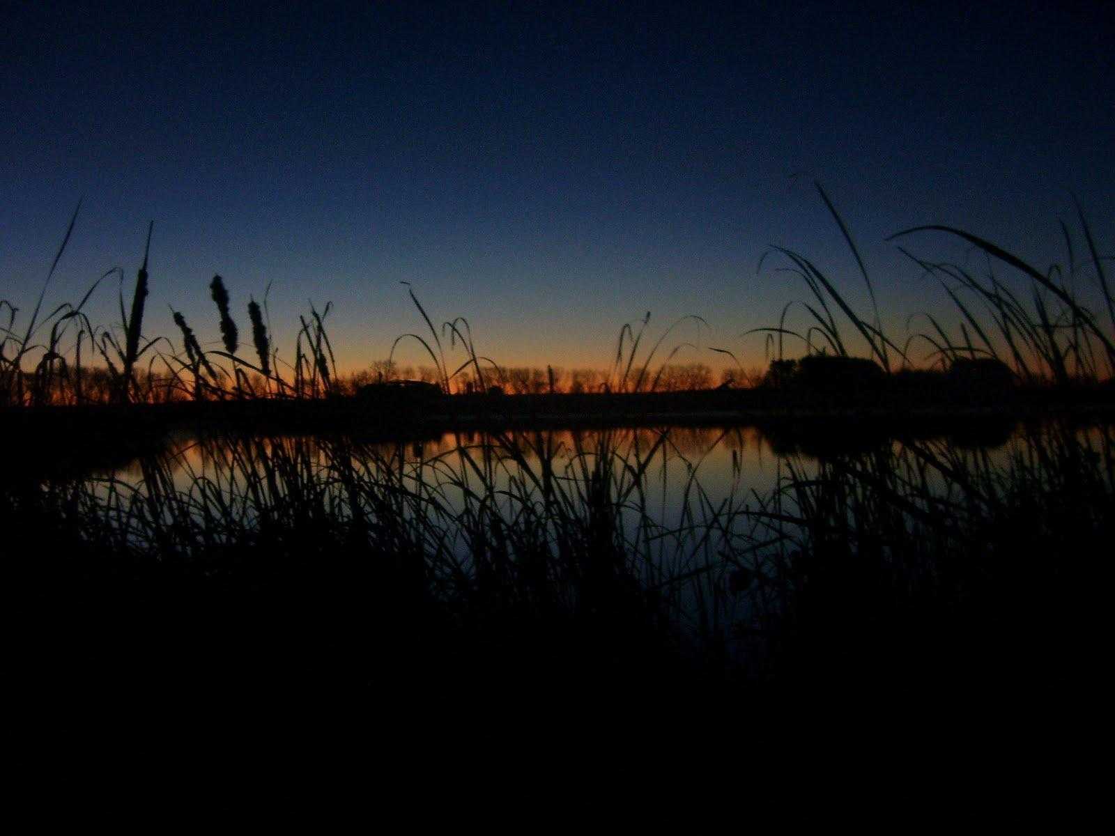 Full HD For Duck Hunting Background Wallpaper Pics Pc