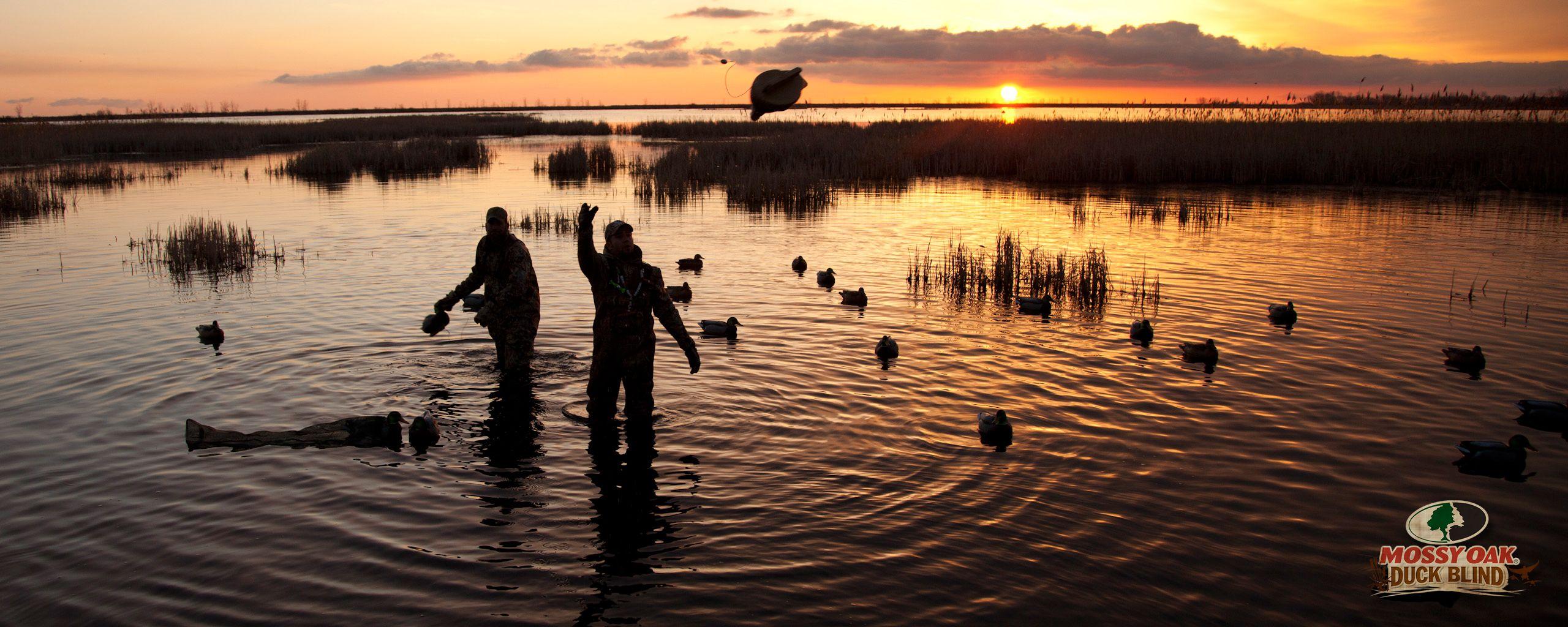 Duck Hunting Wallpaper, HD Duck Hunting Wallpaper. Duck Hunting