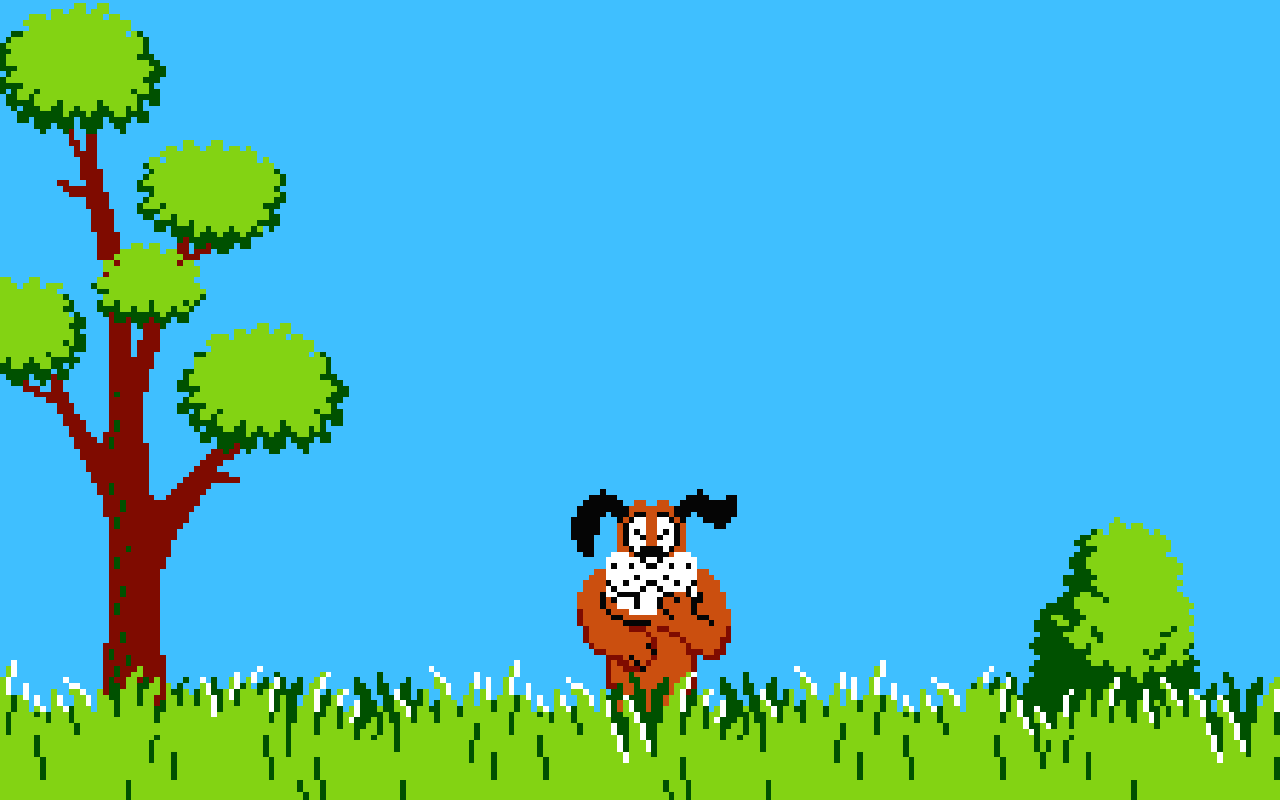 donald duck hunting Wallpaper and Background Imagex800
