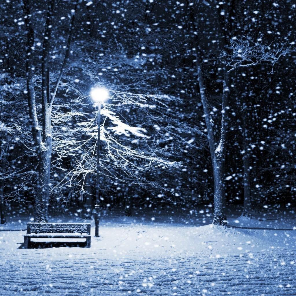 Lonely Winter. A WINTERY SCENE