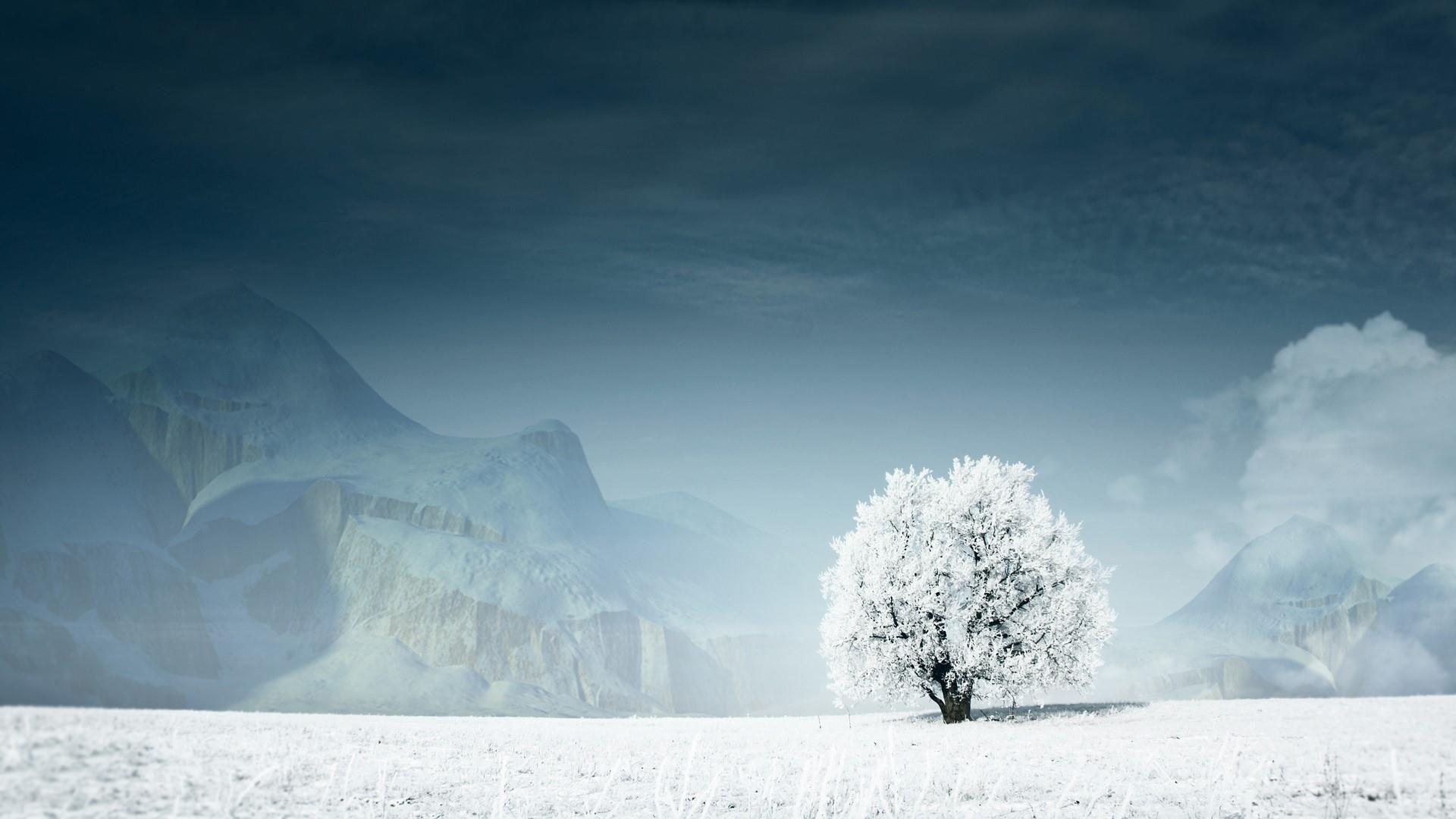 Frozen Lonely Tree Wallpaper. Wallpaper Studio 10