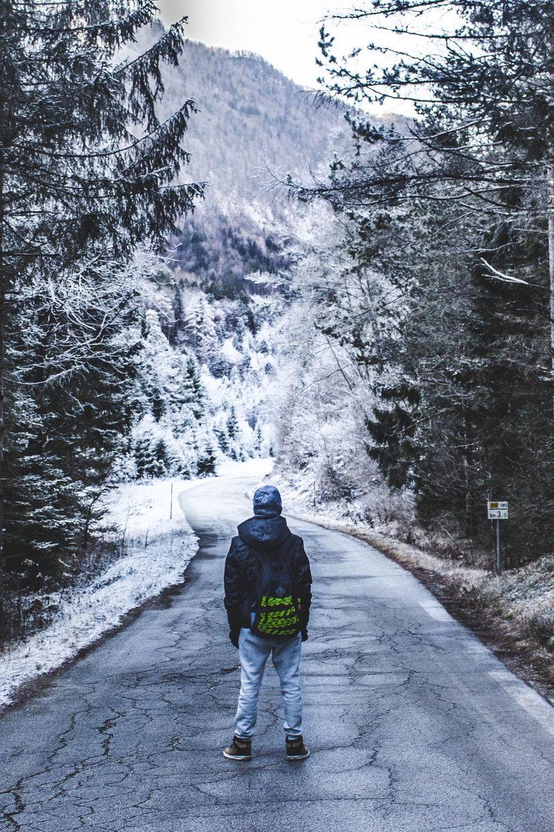 Download wallpaper 800x1200 forest, walk, lonely, winter, road