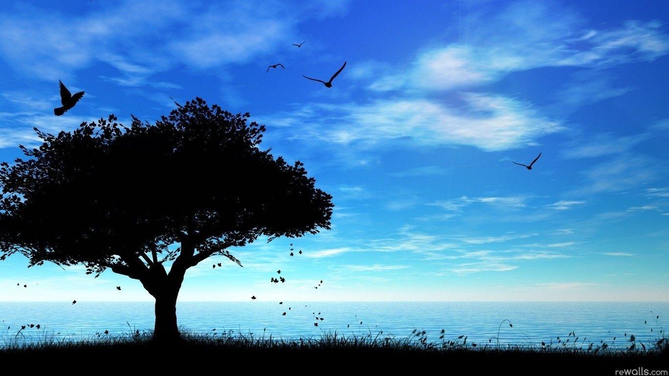 XiNature.com: Silhouette Clouds Trees Blue Night Birds Nature