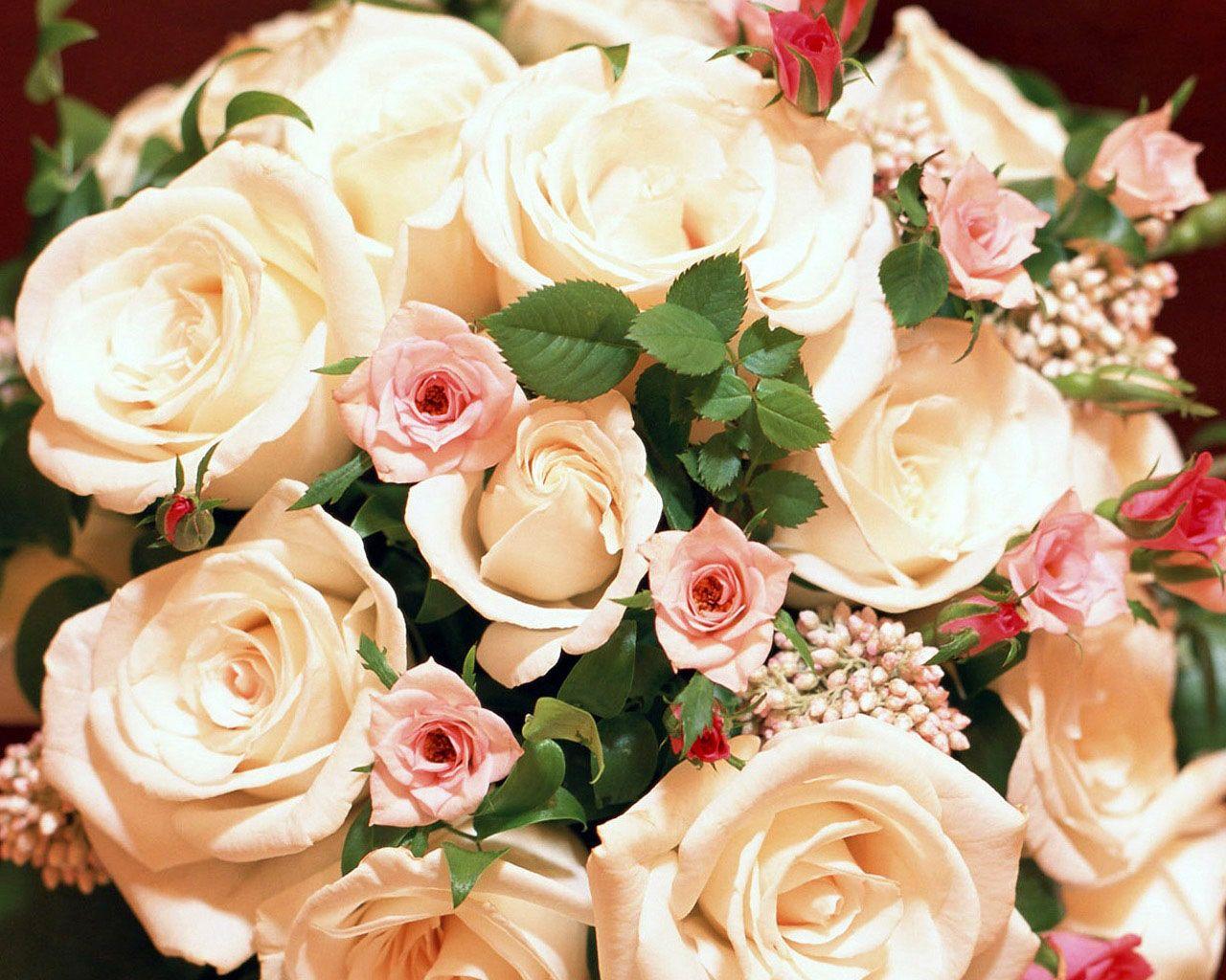 White Roses Flower Wallpaper