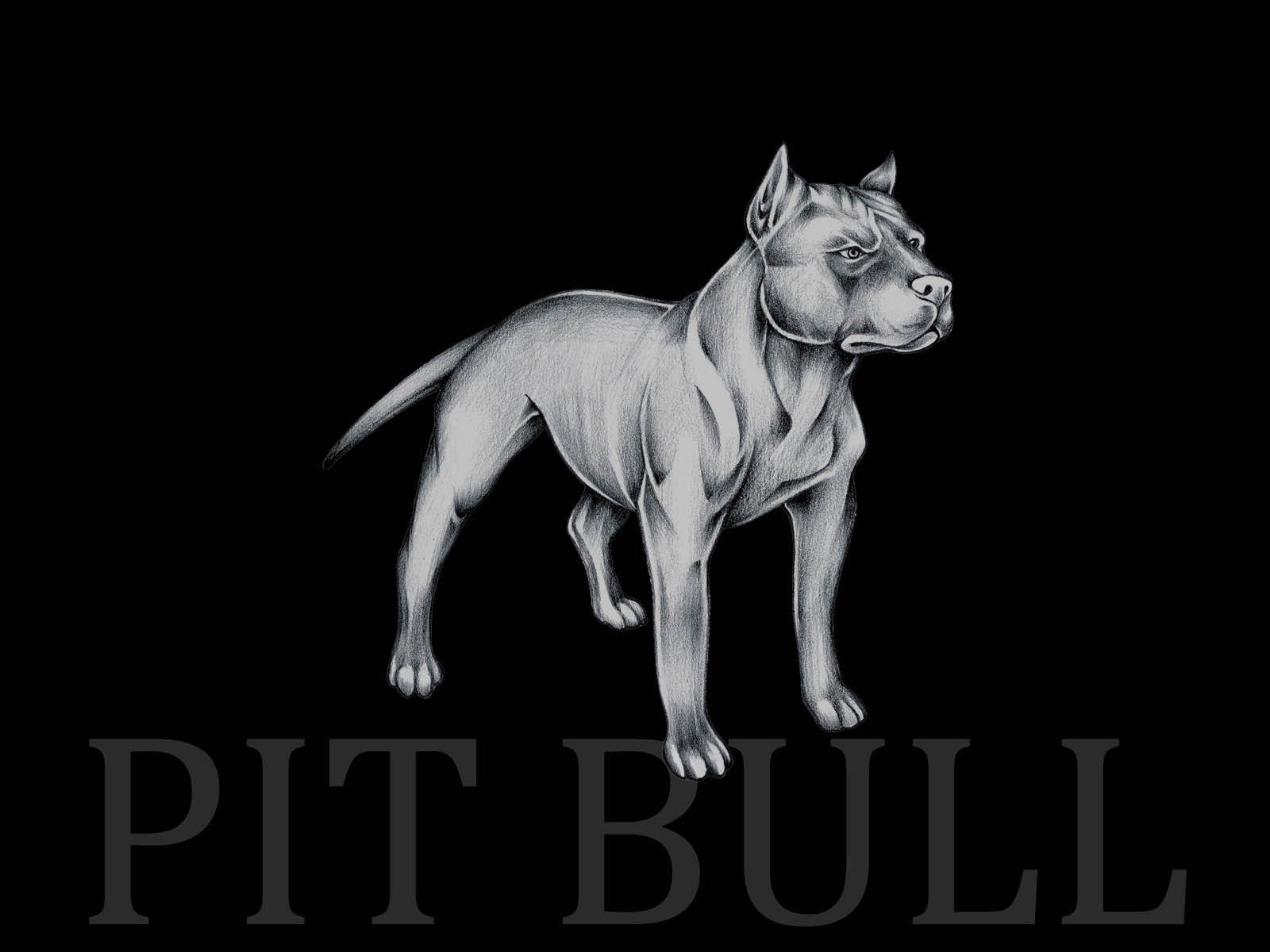 Wallpapers Pitbull Germany - Wallpaper Cave