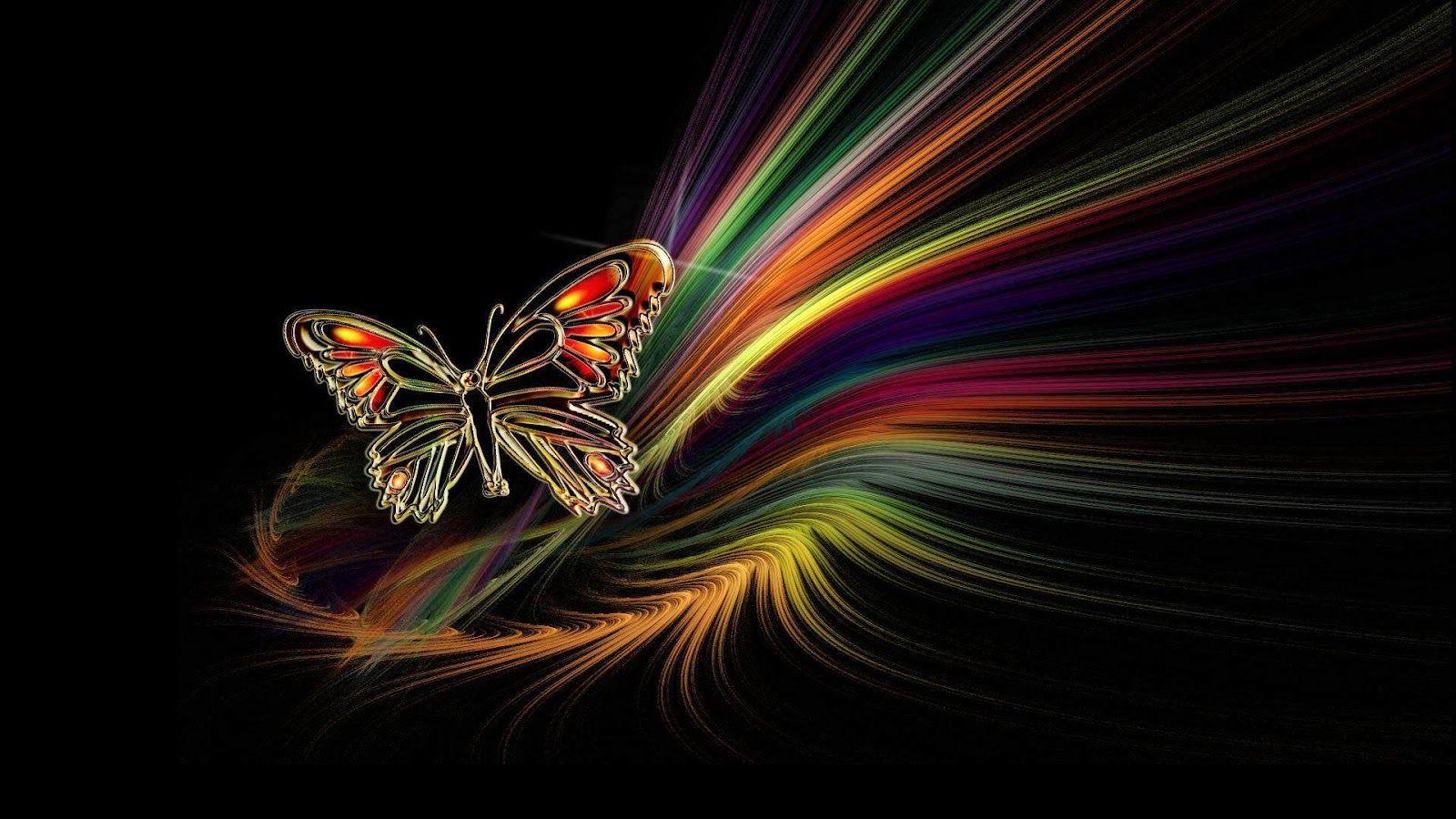 Colorful Butterfly HD Wallpaper. Real & Artistic