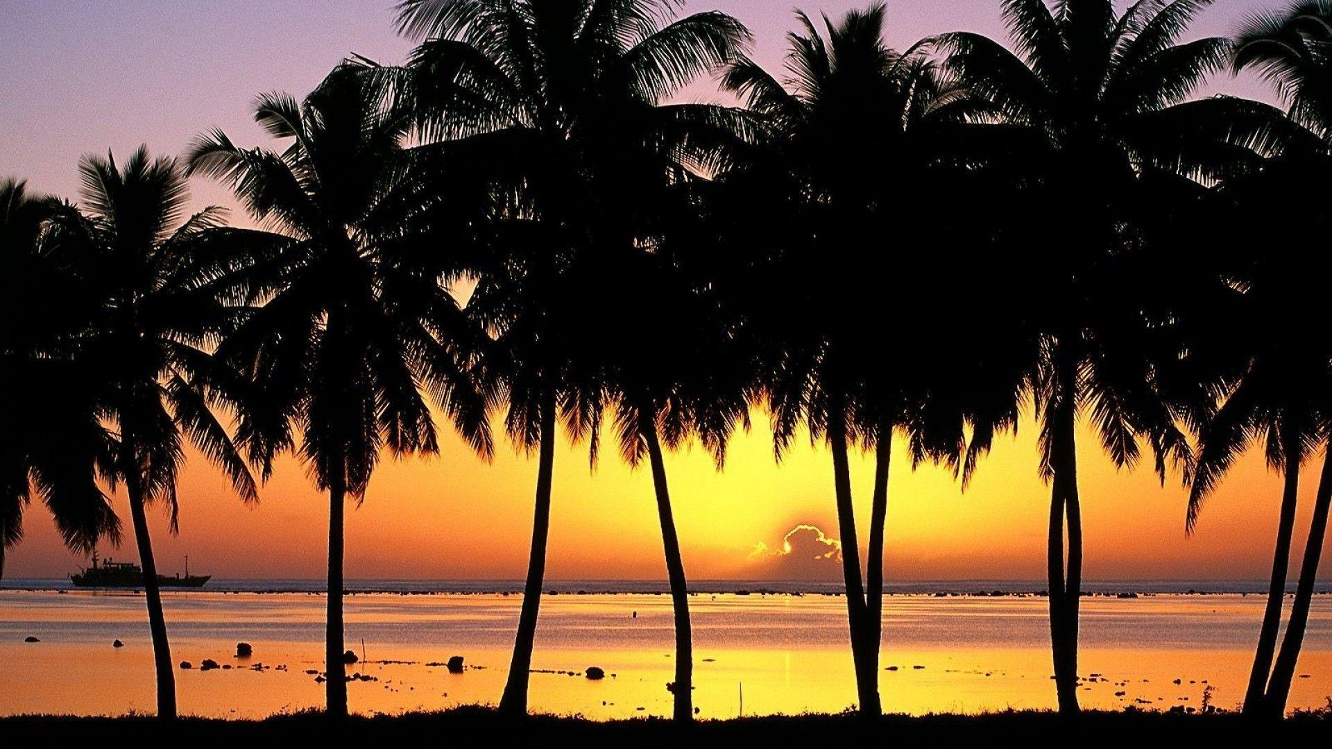 Beautiful HD Wallpaper Amazing Spring Bliss Desktop Wallpaper