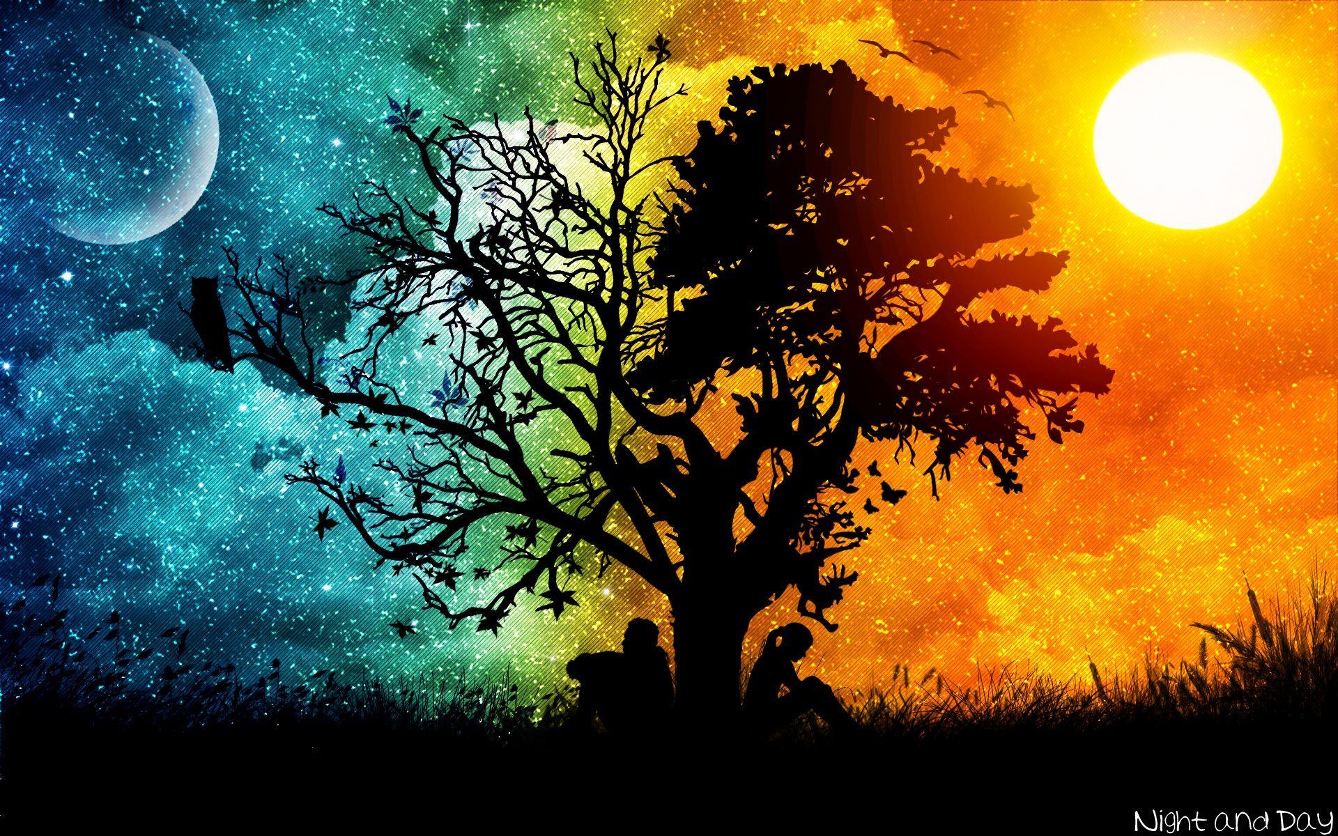 Wallpaper, silhouette, tree, night, wallpaperhunt, widescreen