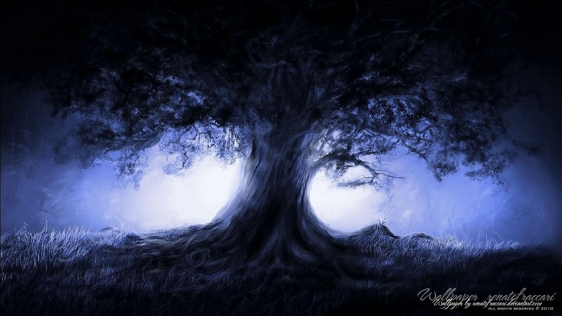 Midnight tree Computer Wallpaper, Desktop Backgroundx1080