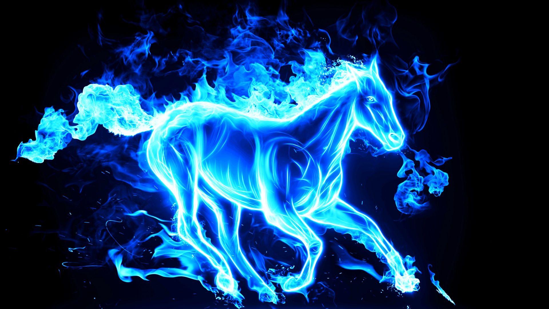Horse Fire Animals 3d Graphics Hd Wallpapers