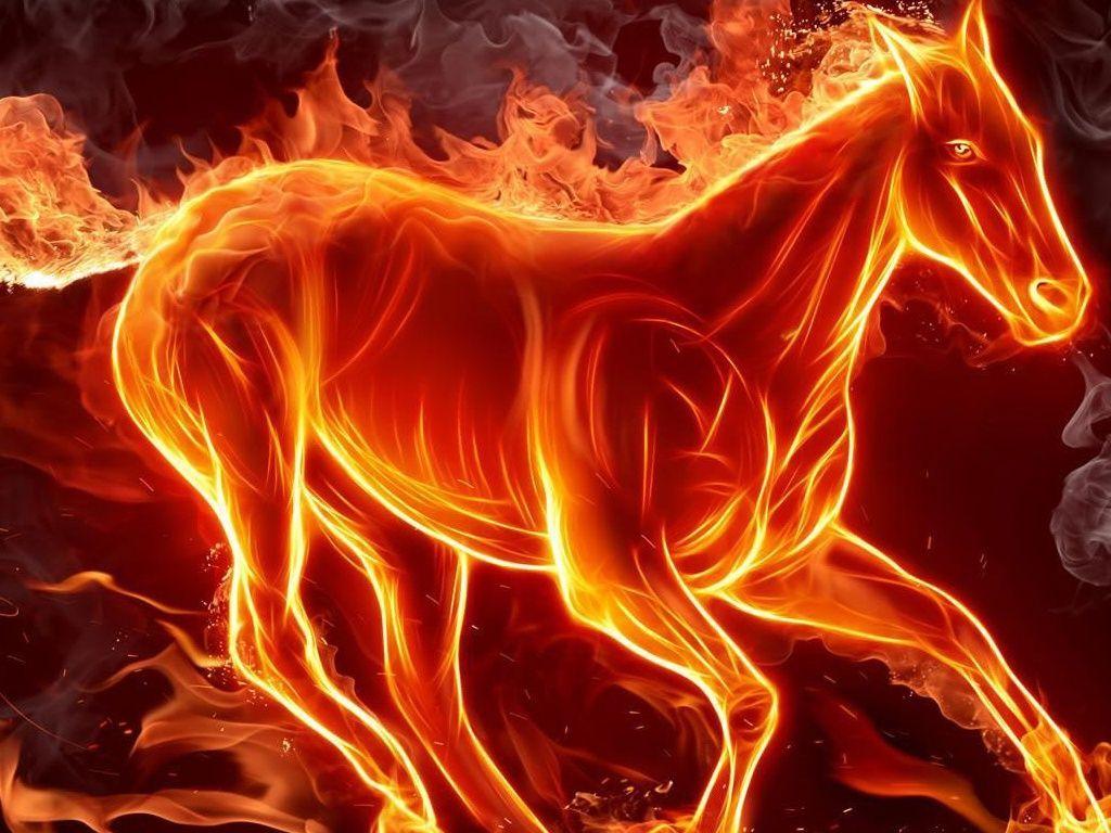 Fire Horse Wallpapers HD
