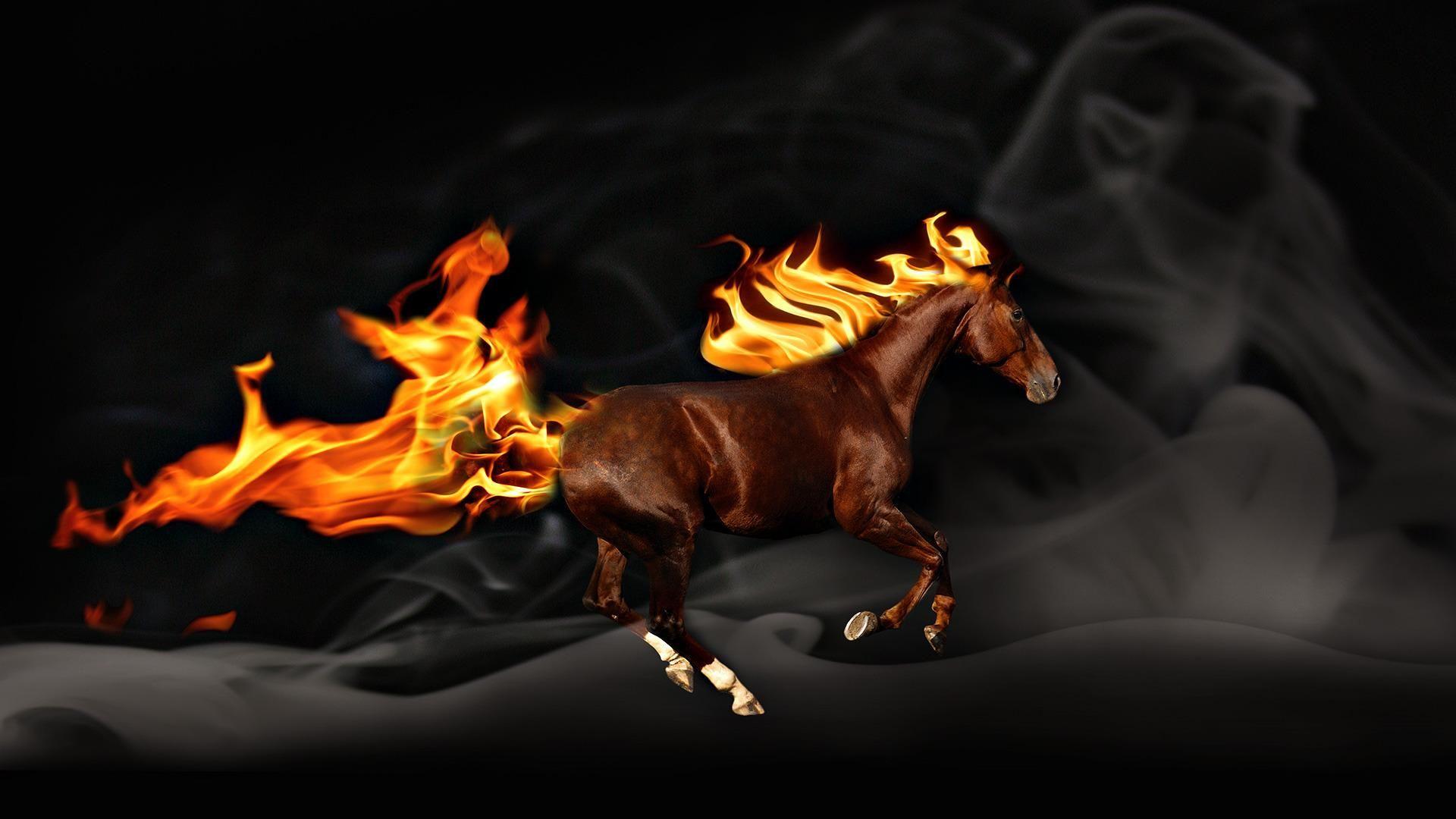 Fire horse Fire Horse Digital Art HD Wallpapers, Desktop Backgrounds