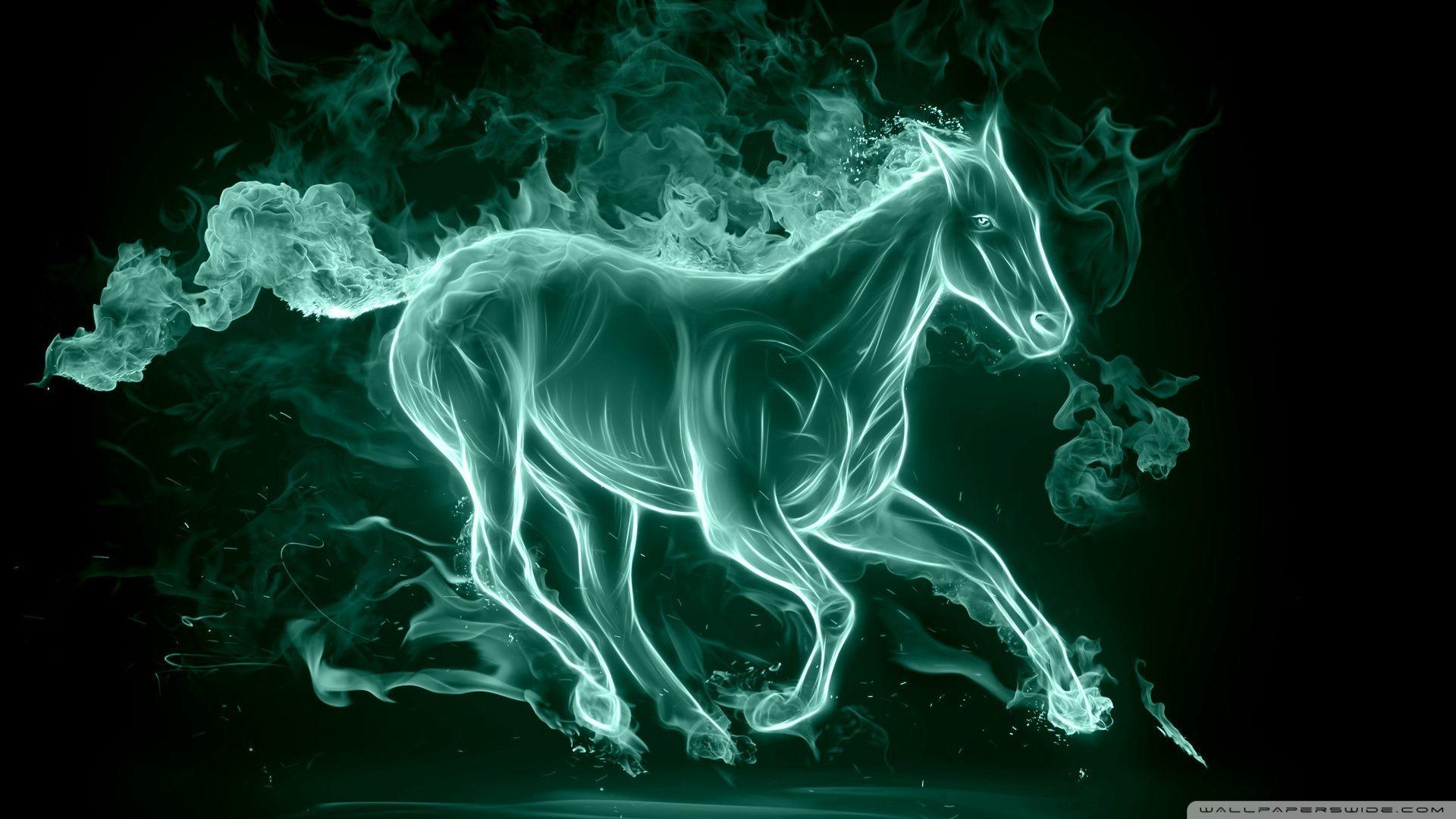 Horse Wallpapers Hd wallpapers hd