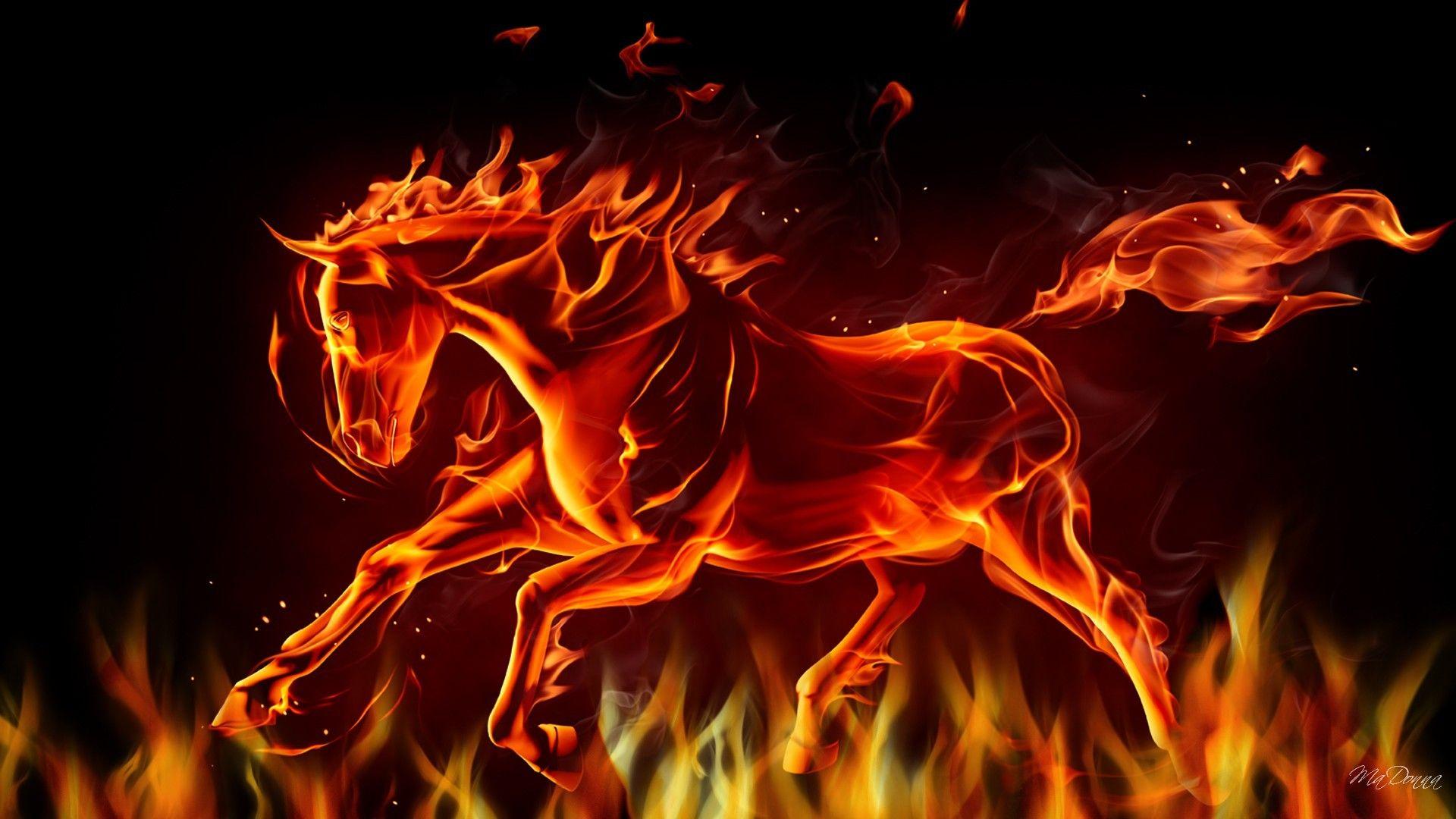Horses Flames Fire Year Running Abstract New Horse Hot Jumping