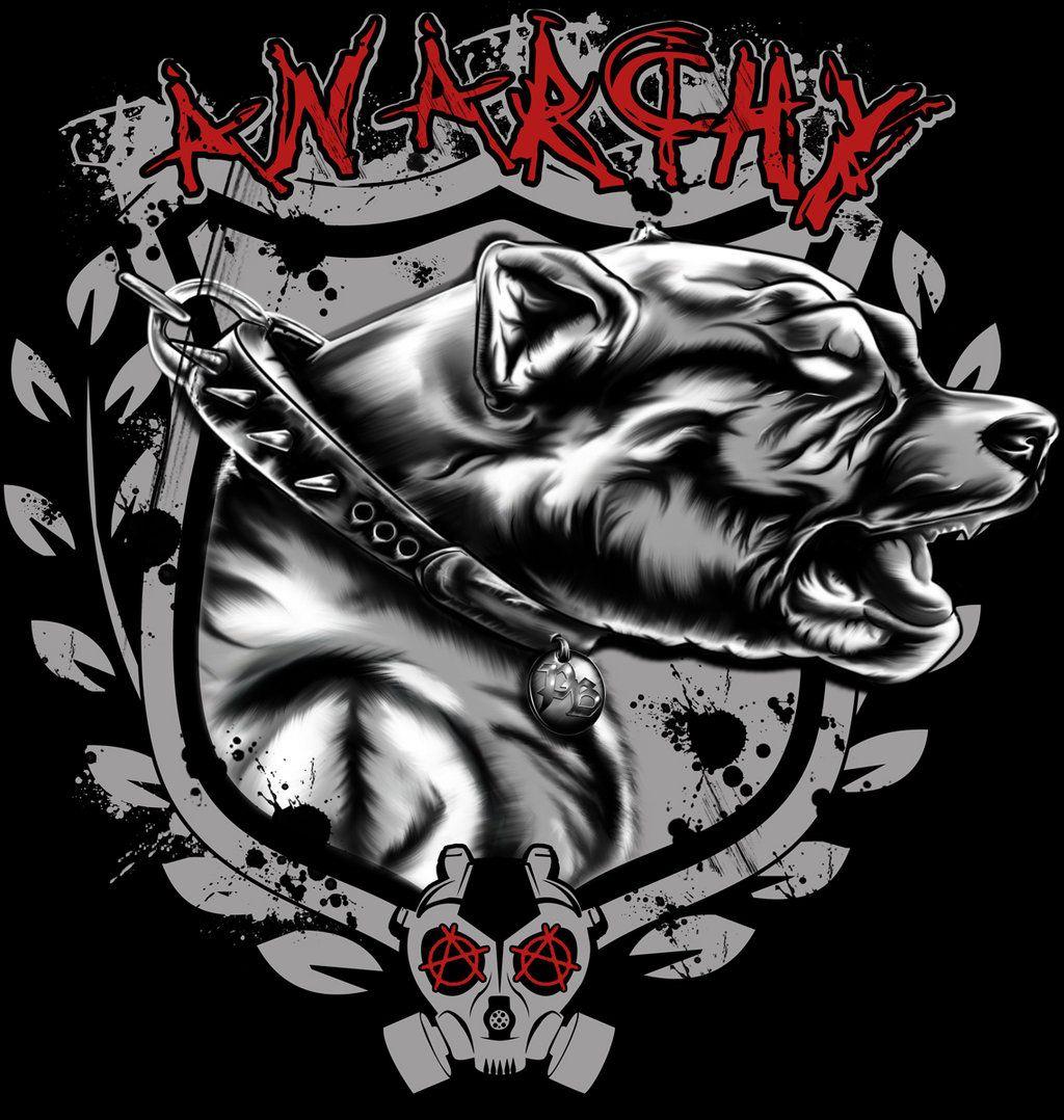 Pitbull Anarchy