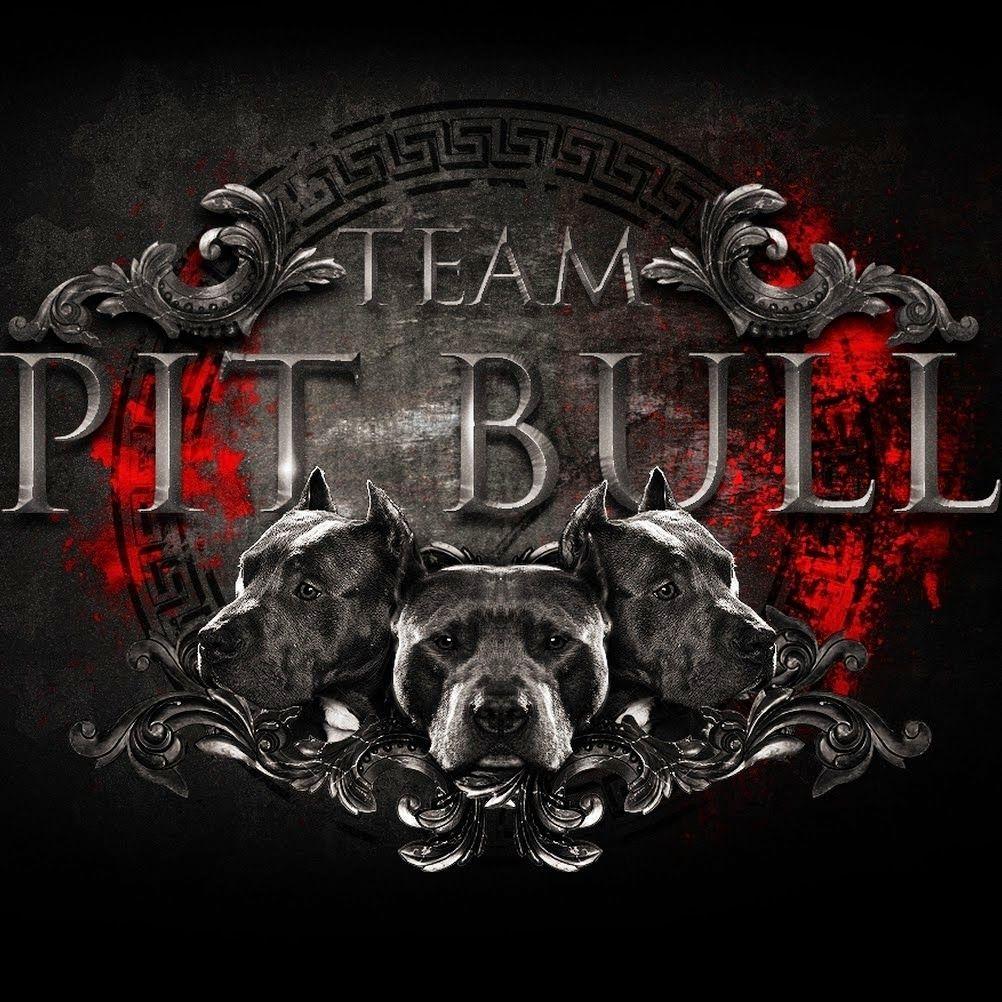  on pitbull logo wallpaper